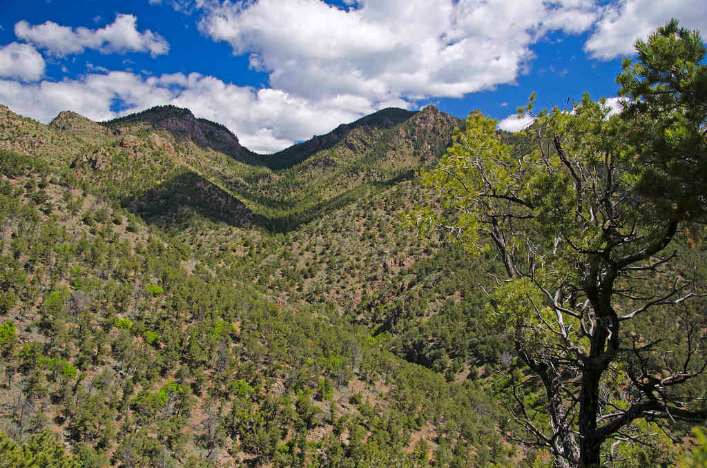 Beaver Creek State Wildlife Area