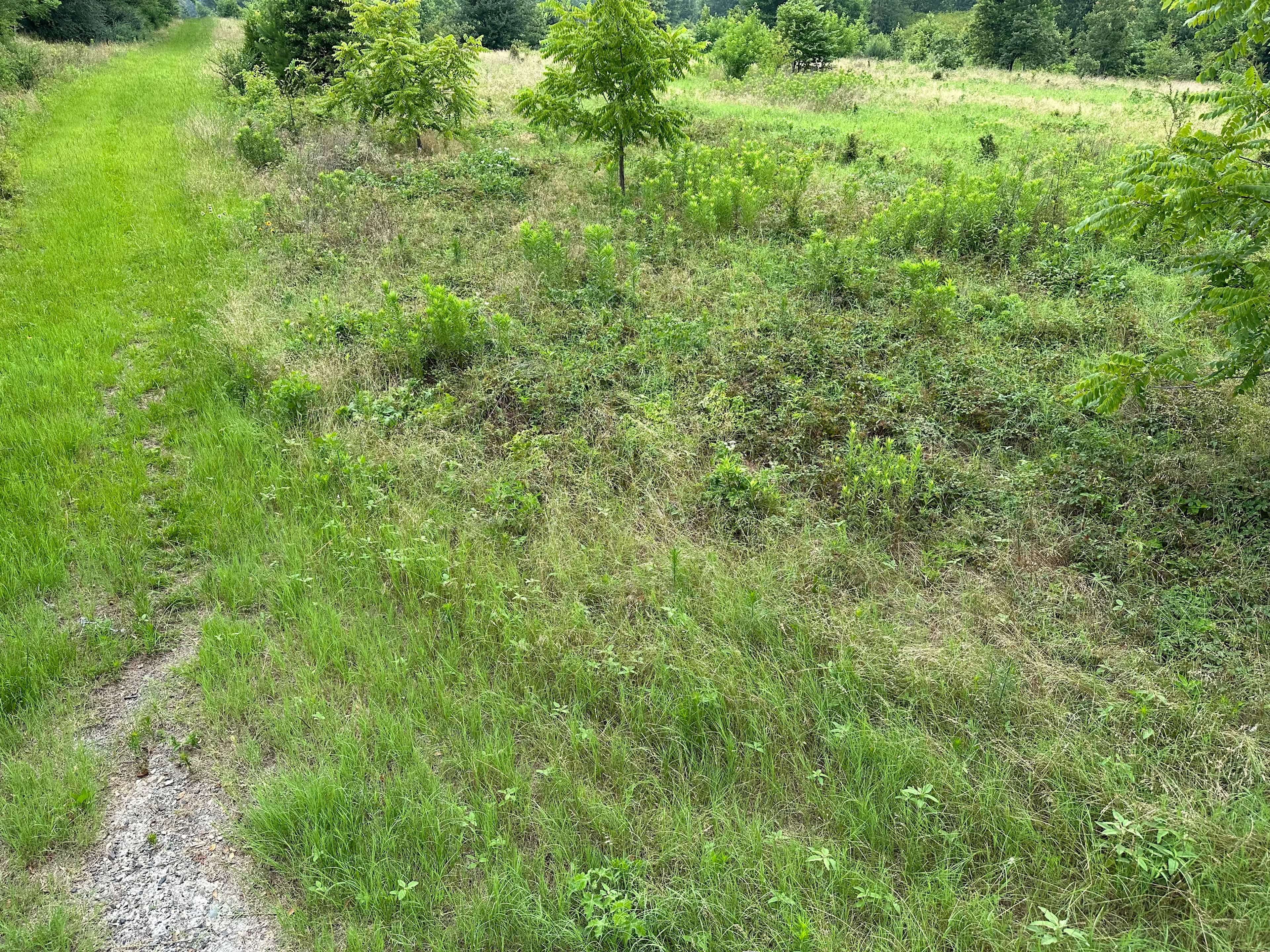 Peaceful Acres
