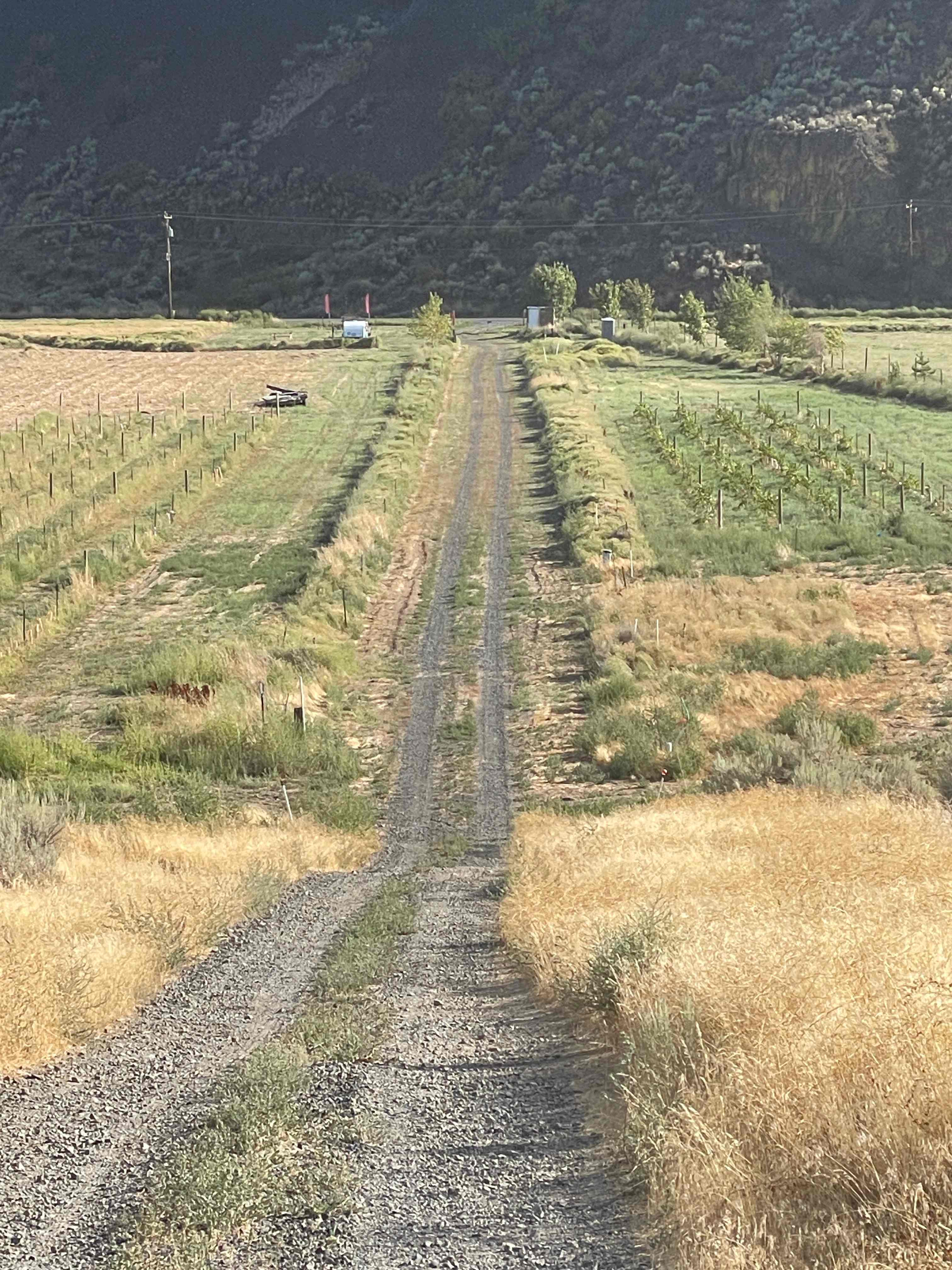 Del Rosario Family Vineyard