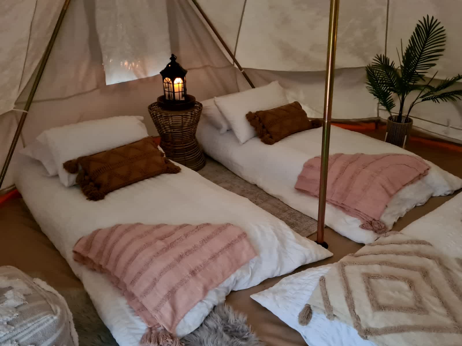 Elysium Hill - Glamping Experience
