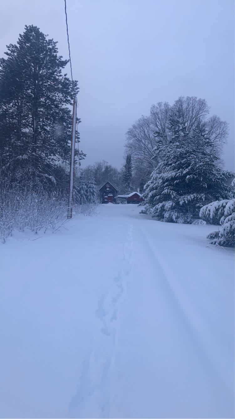 Tapiola Homestead