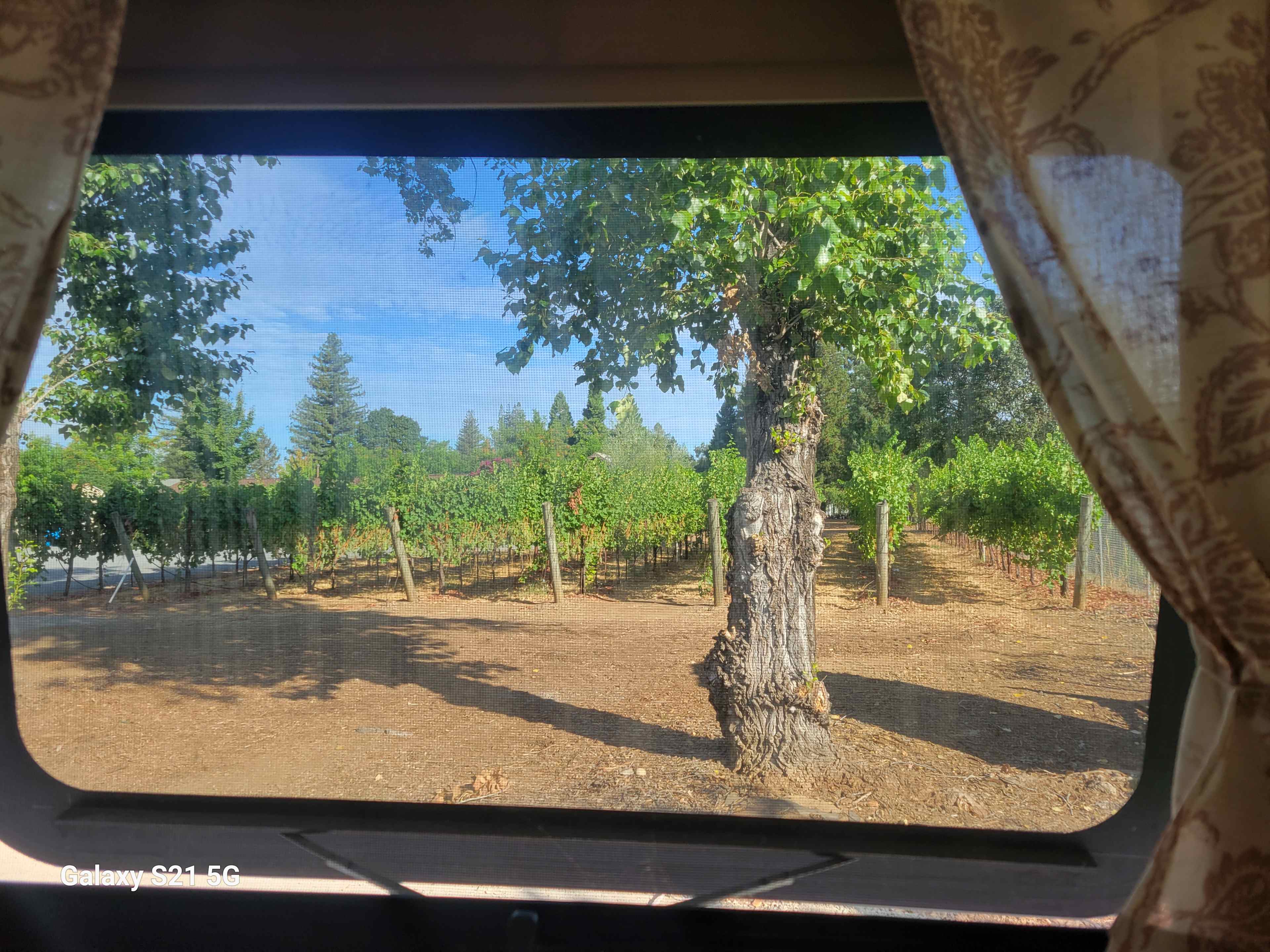 I woke up to this view out my window 