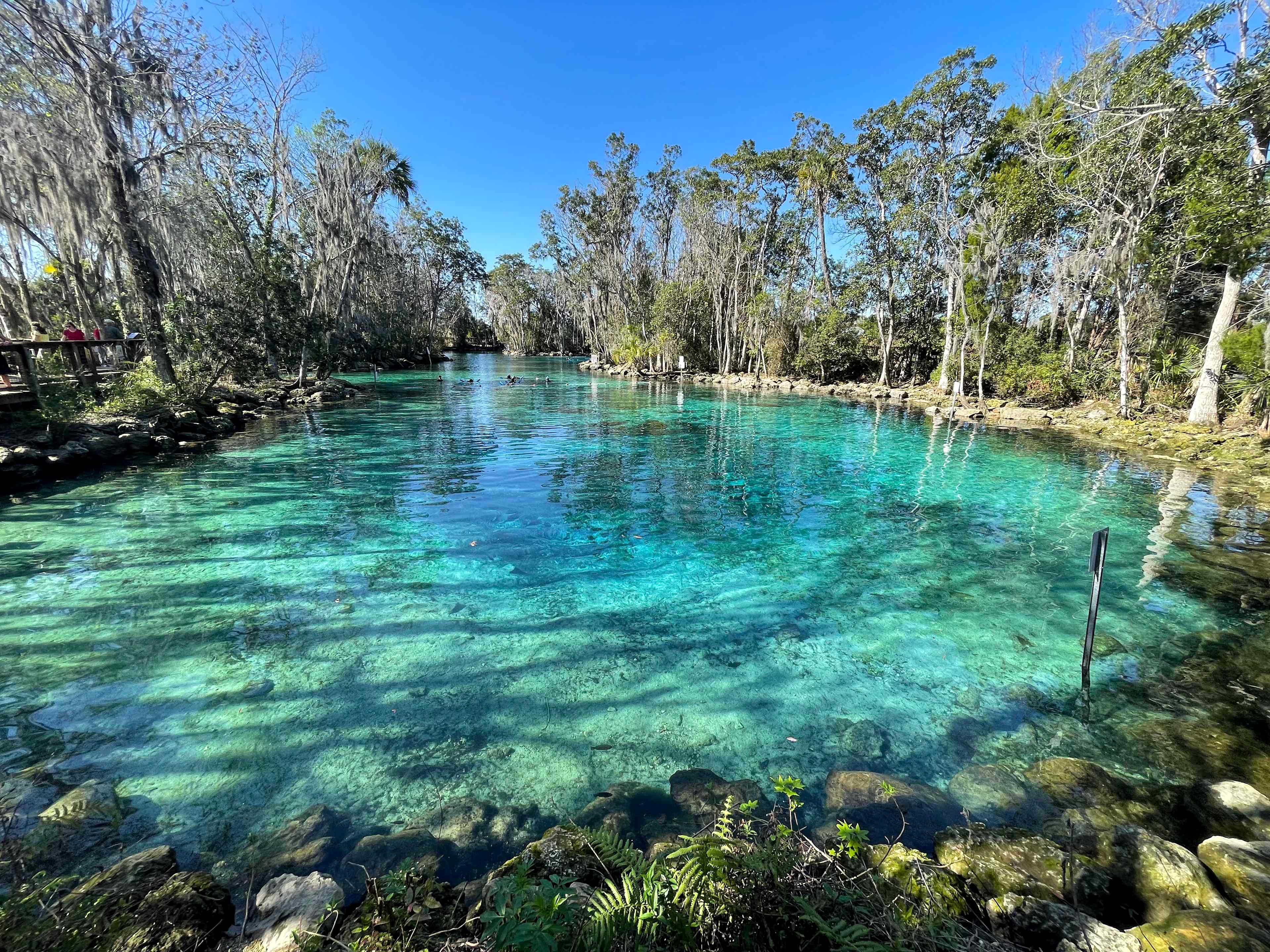 
Cristal River beautiful water