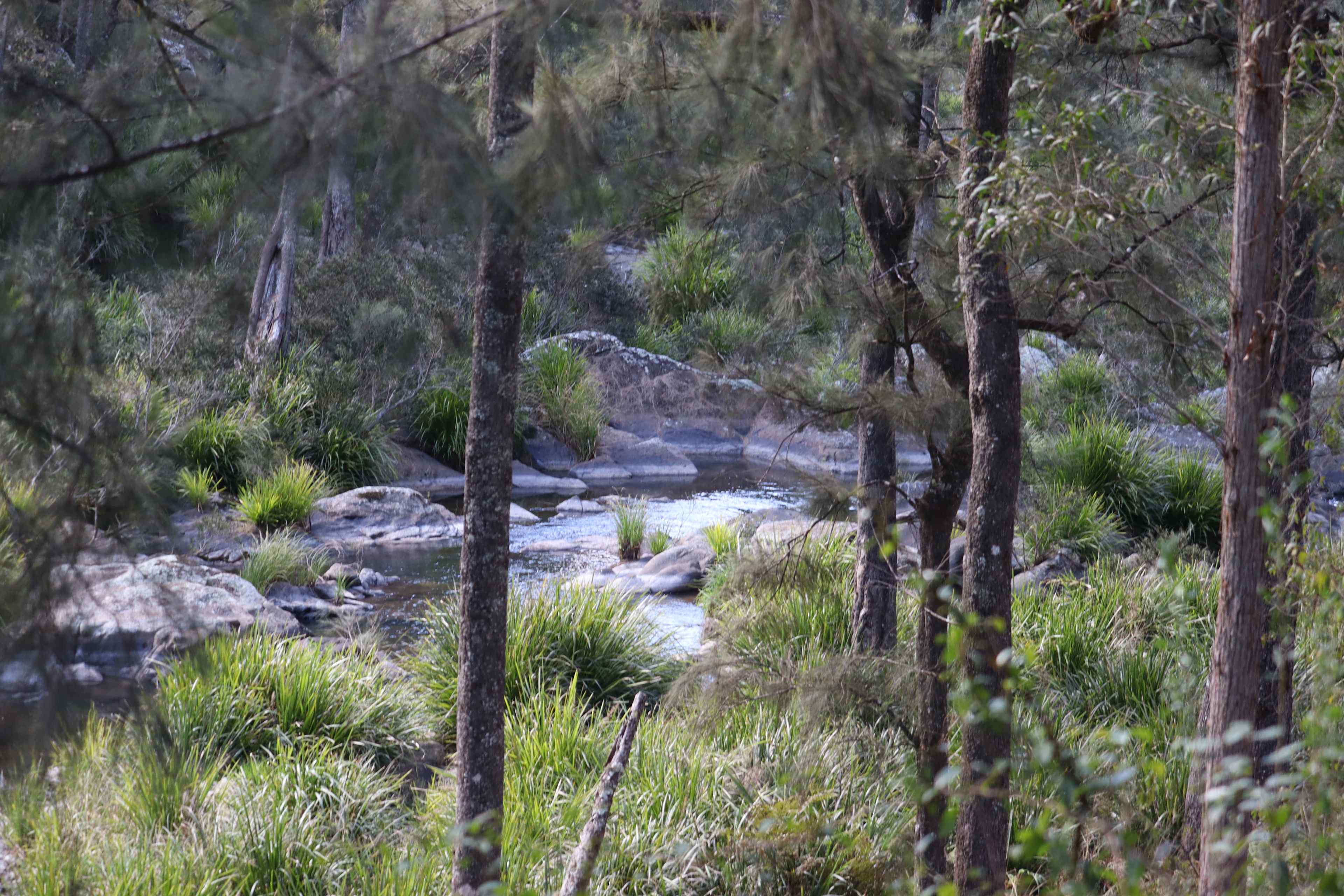 Blicks River Camping