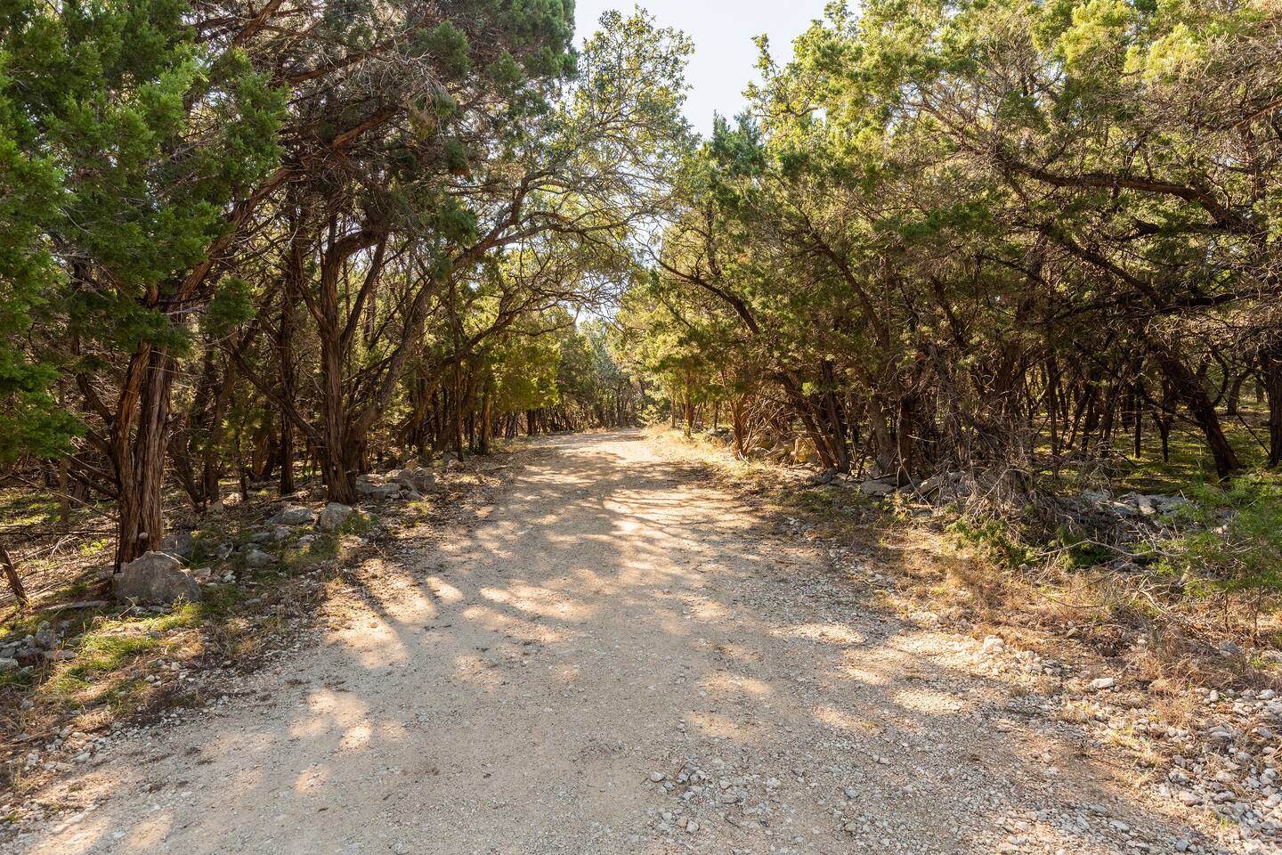A road on the property leading from the main house to the large shed.