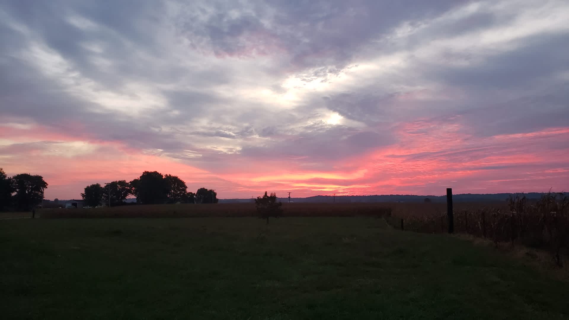 R & T Farms