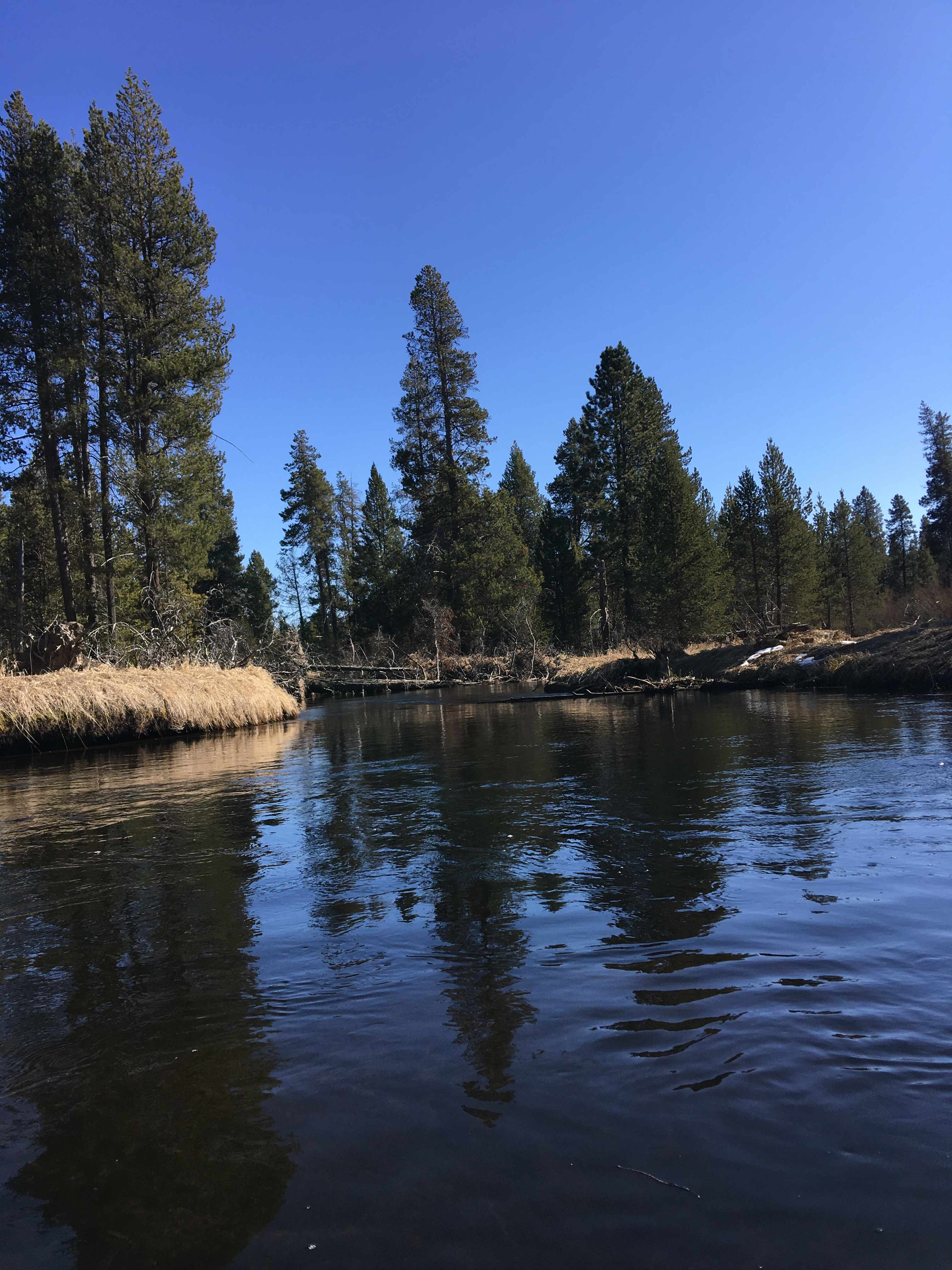 Log Shelter Retreat