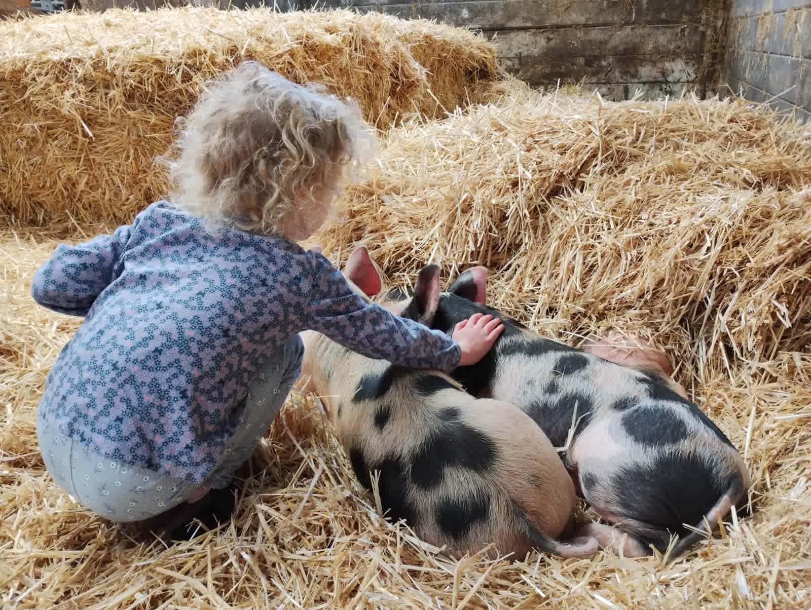 Westland Farm
