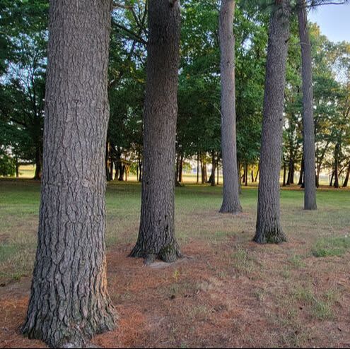 Whispering Pines Events & Lodging