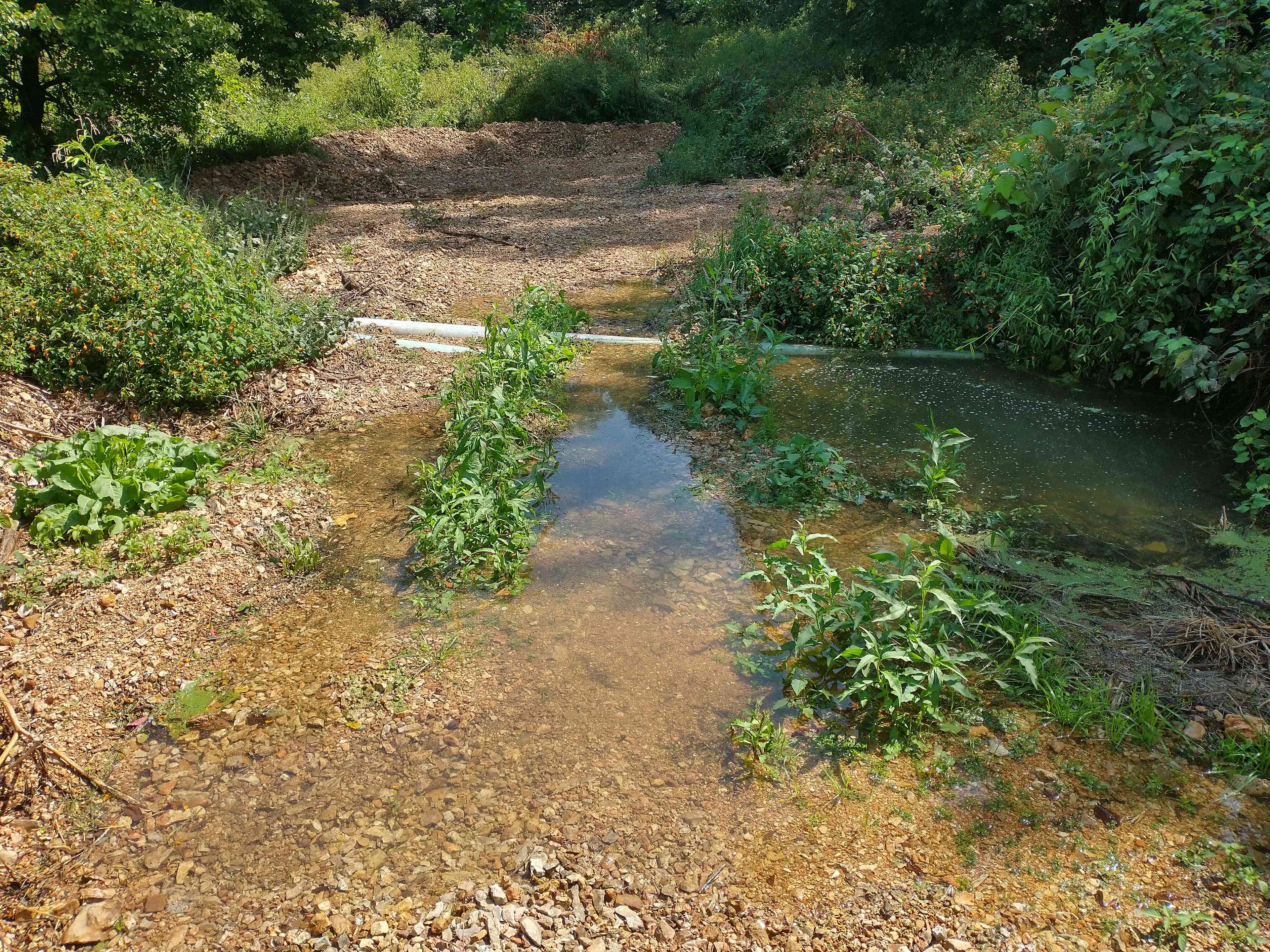 Got lots of rain last night. 
