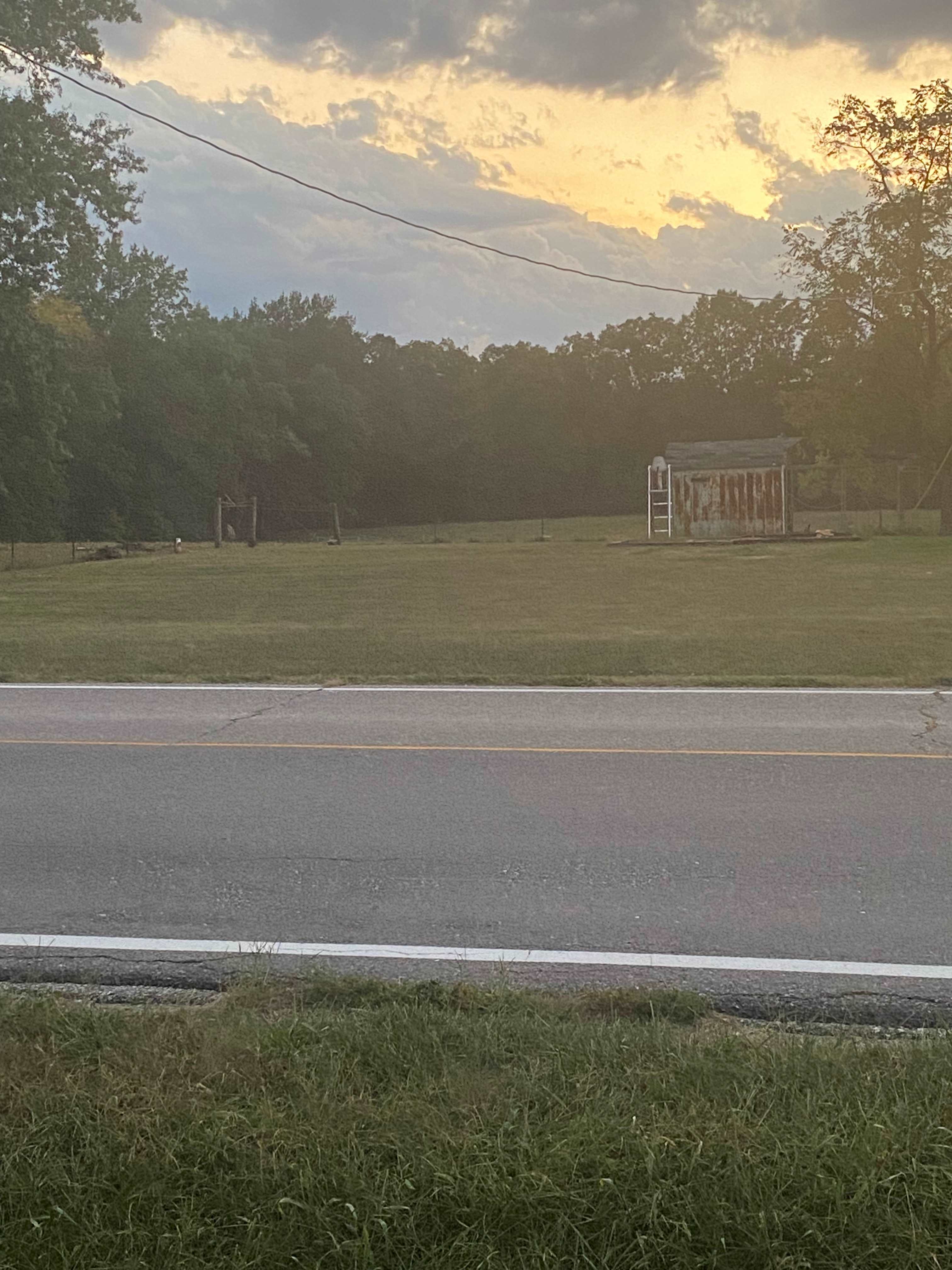 Turtle Hill
