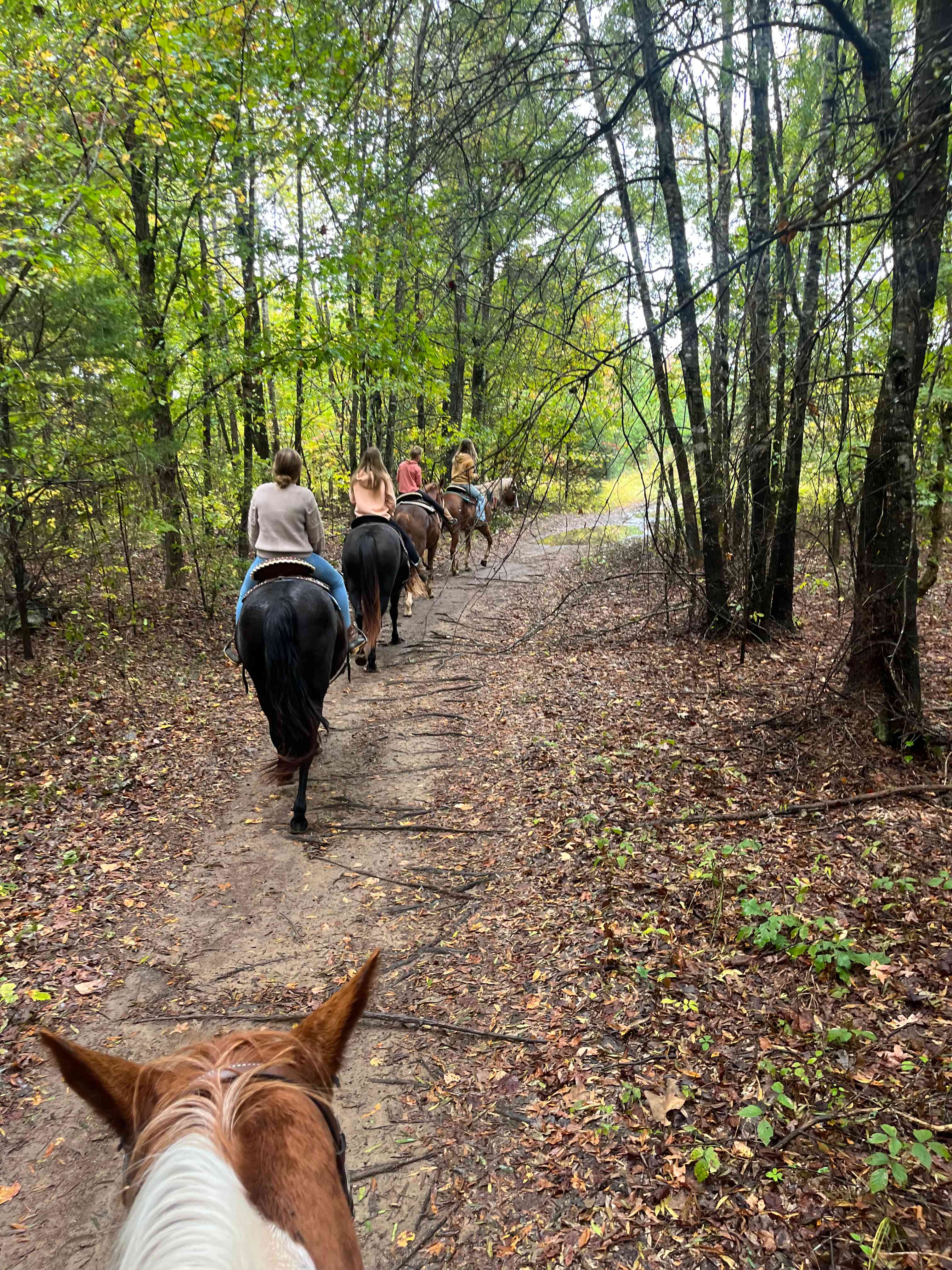 Trail riding 