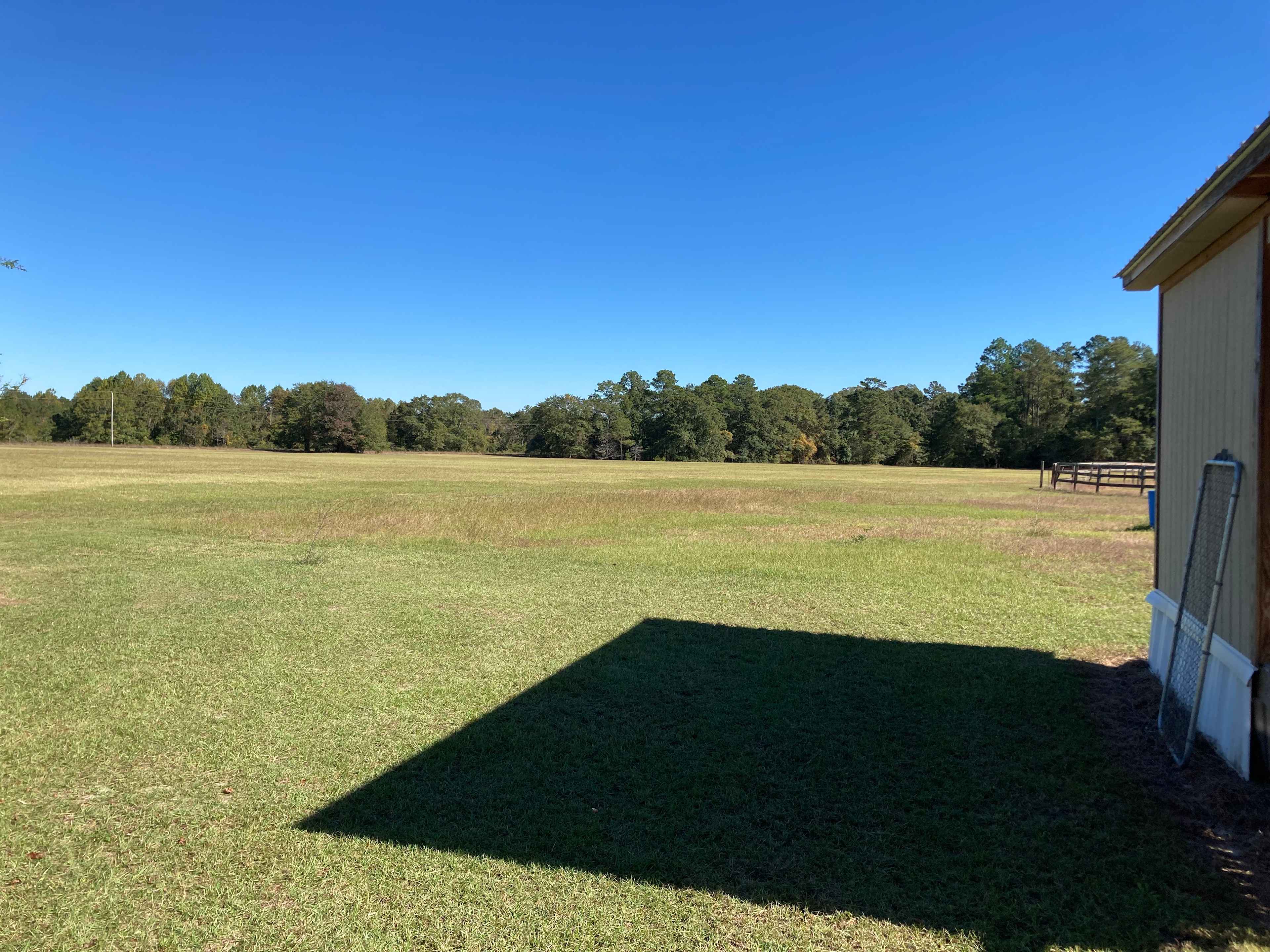 open field