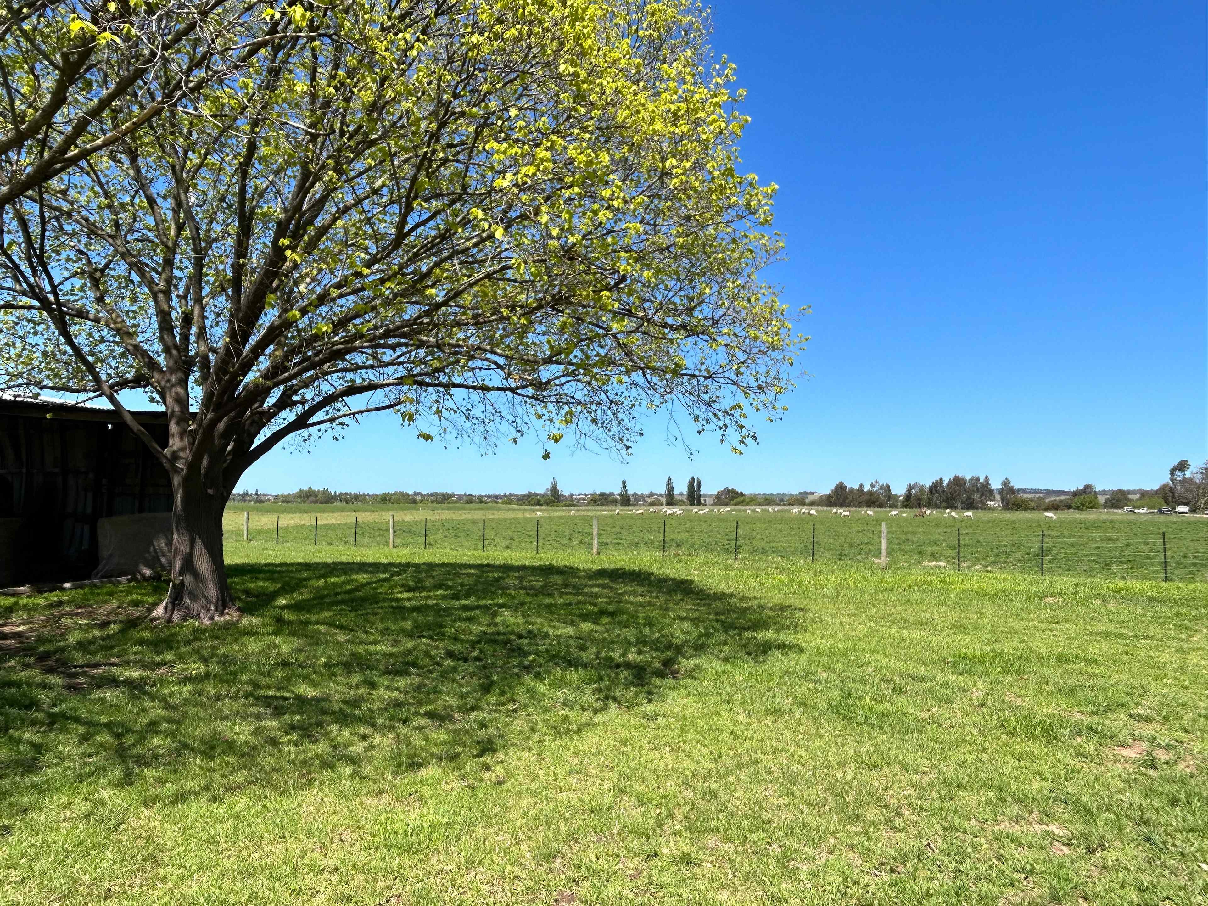 Looking south from behind the campsite area