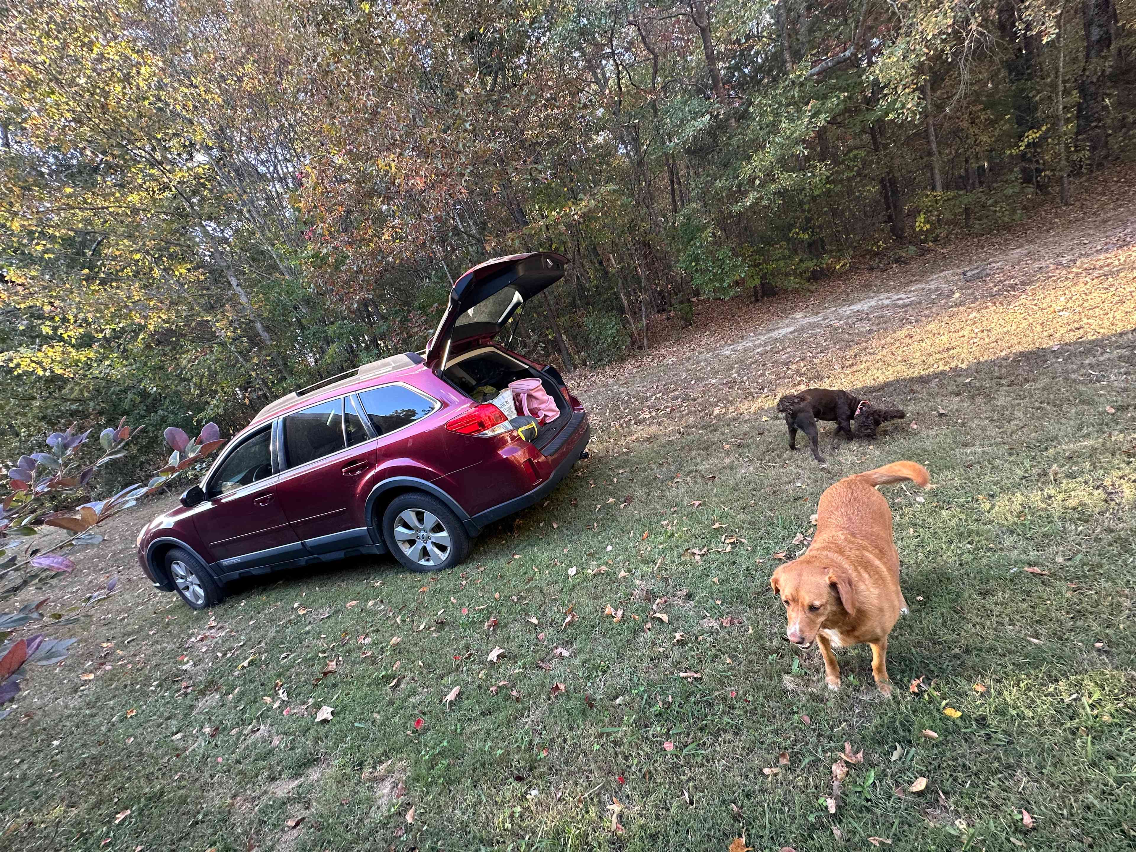 Our Little Farm Campsites