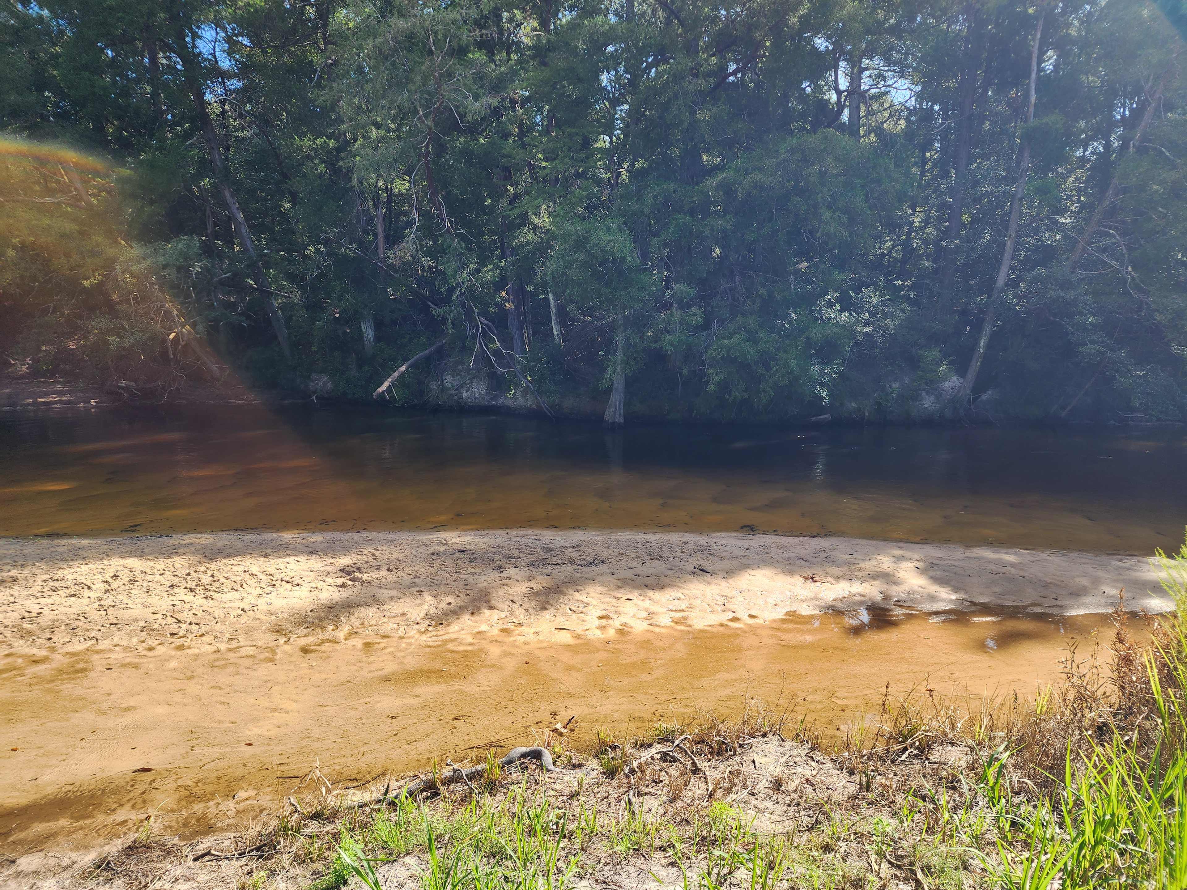 1 of many river views.