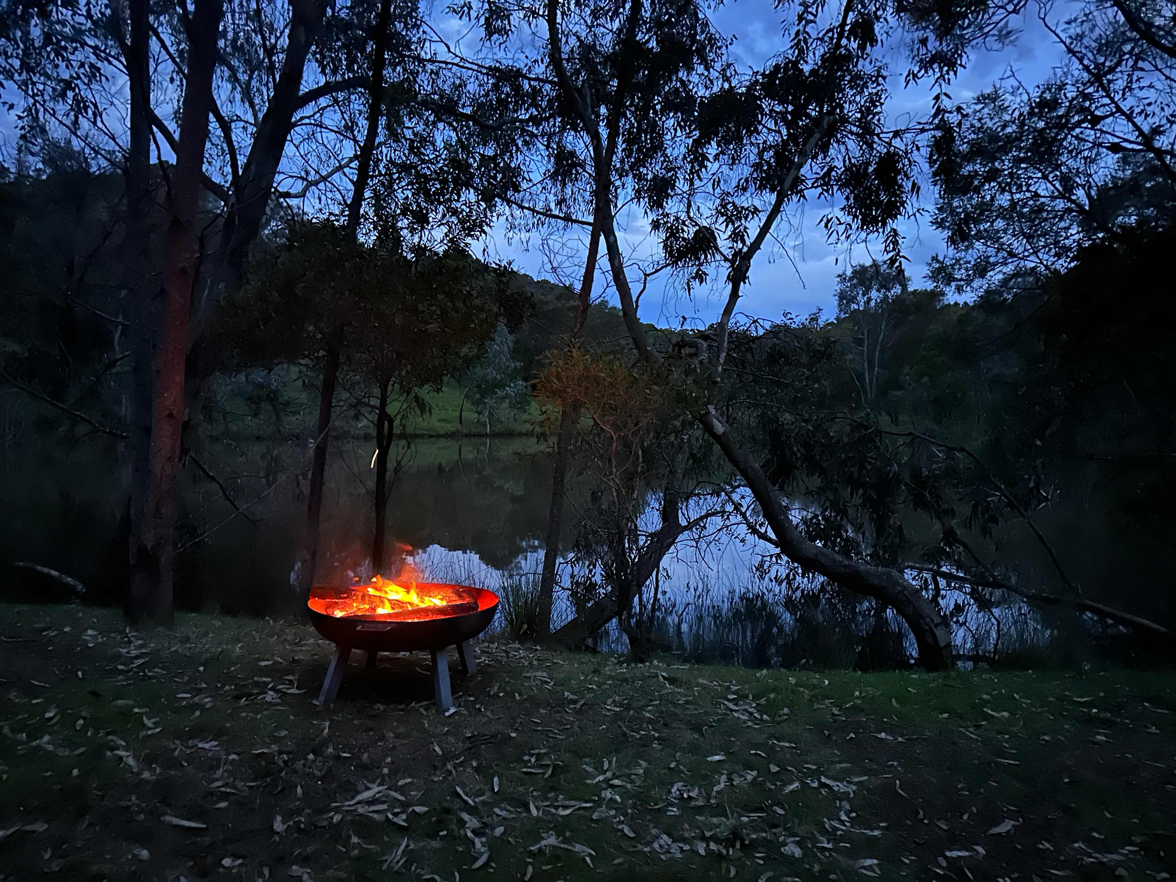 Reedy Creek Camping