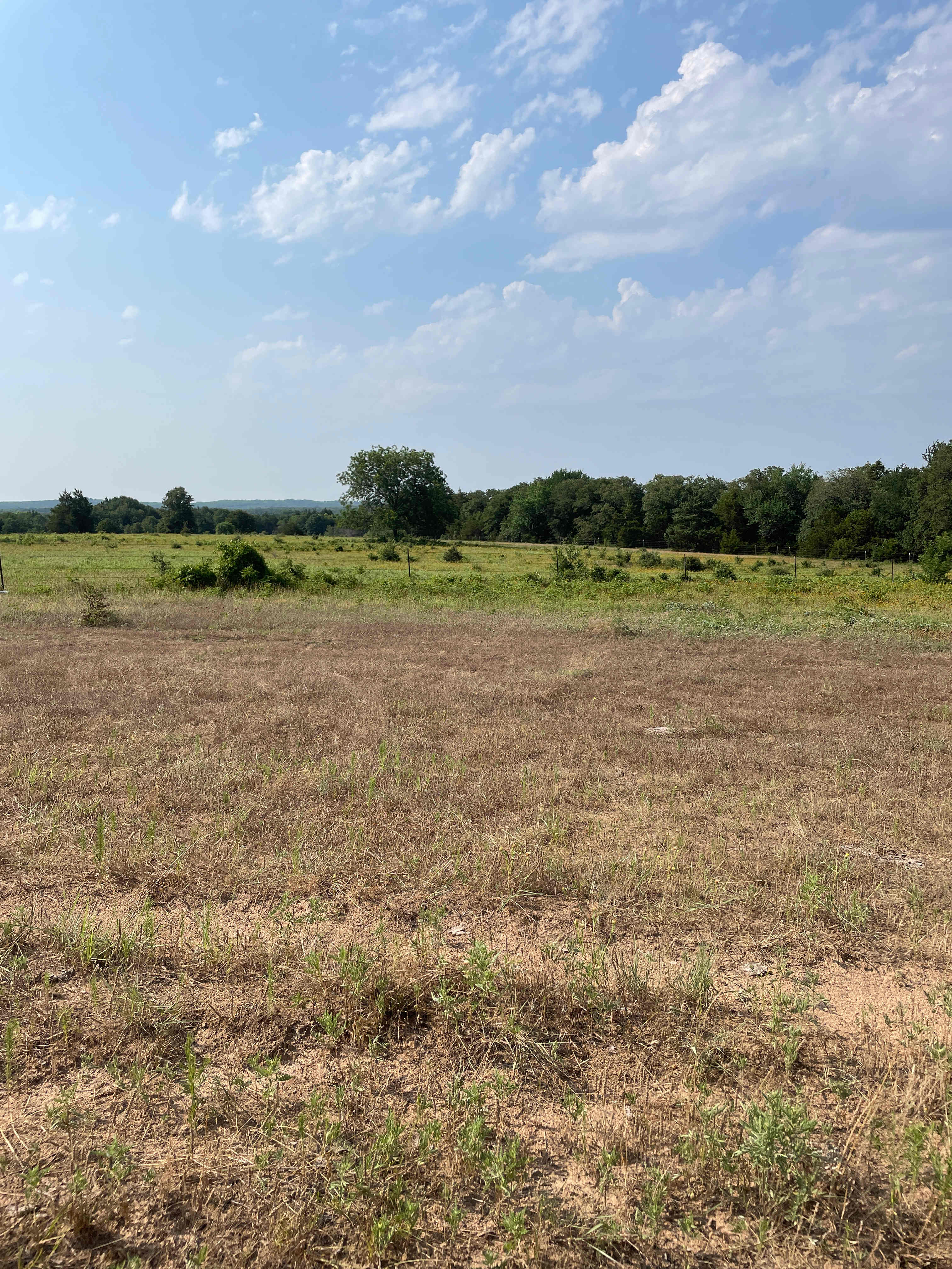 Andrea’s Grasslands Getaway