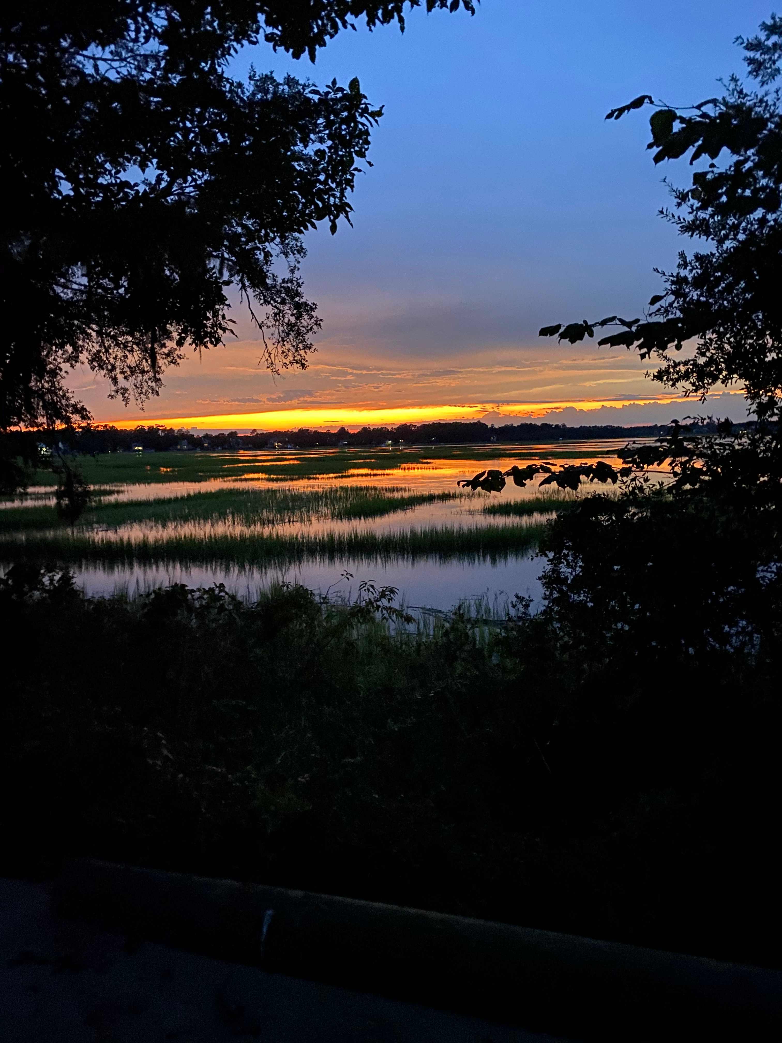 Marsh Cove