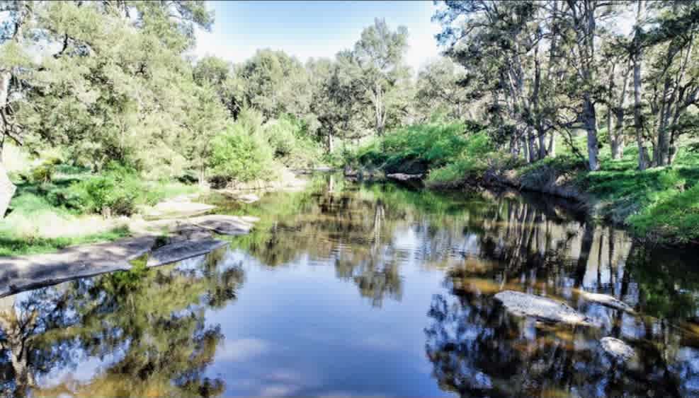 Riveroak Farm