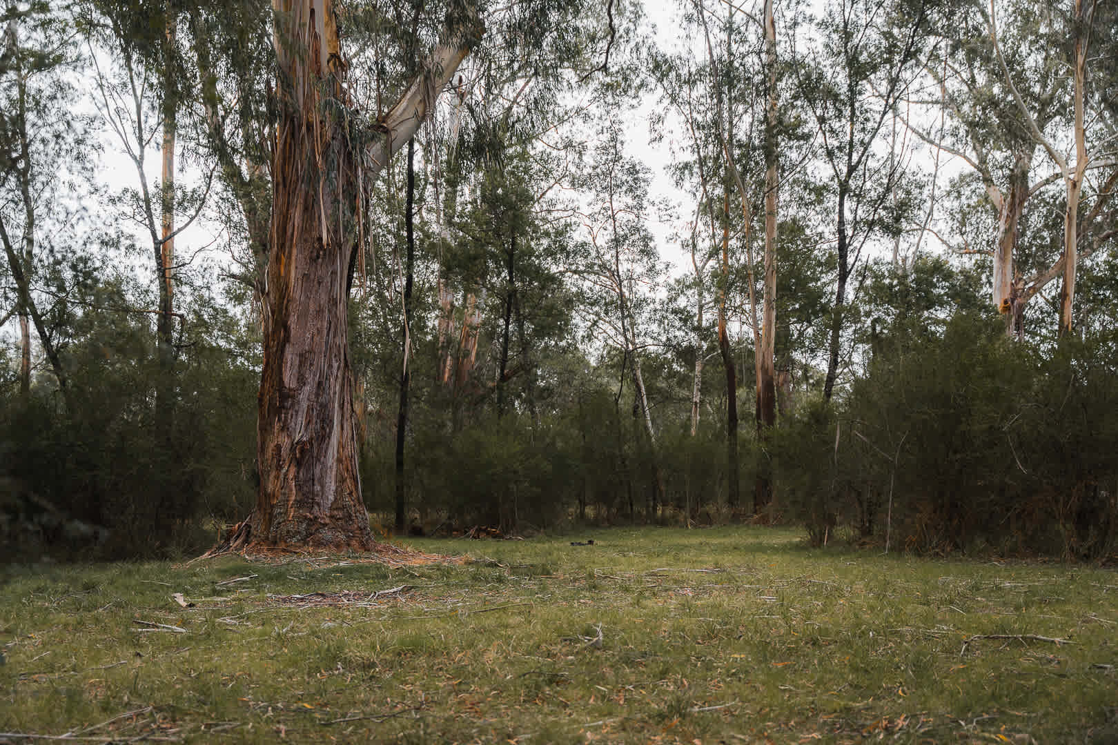 Site 4
