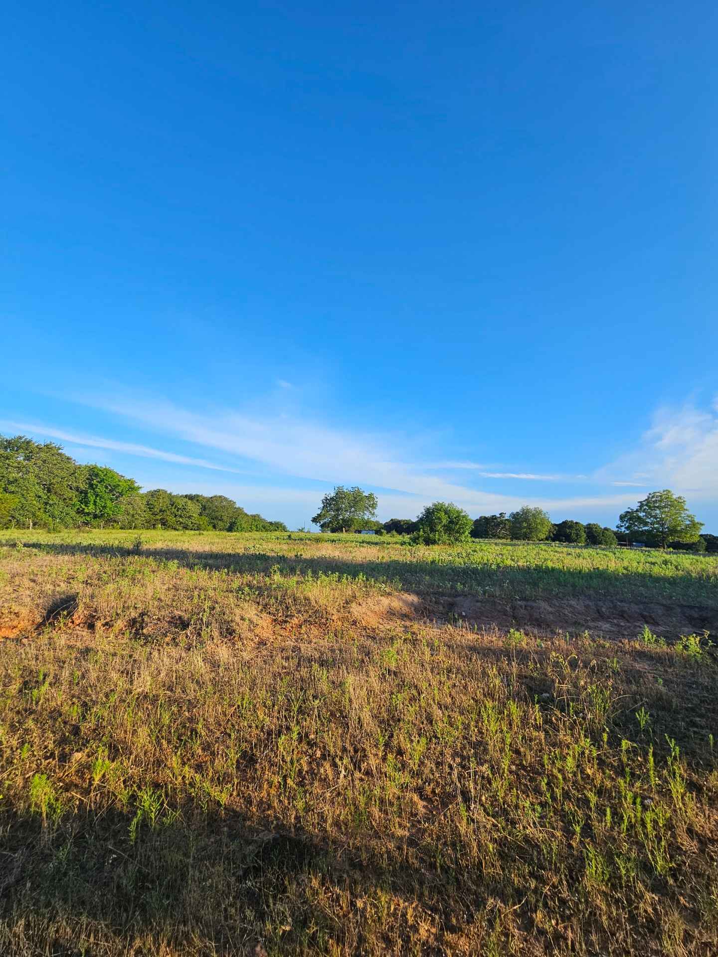 Andrea’s Grasslands Getaway