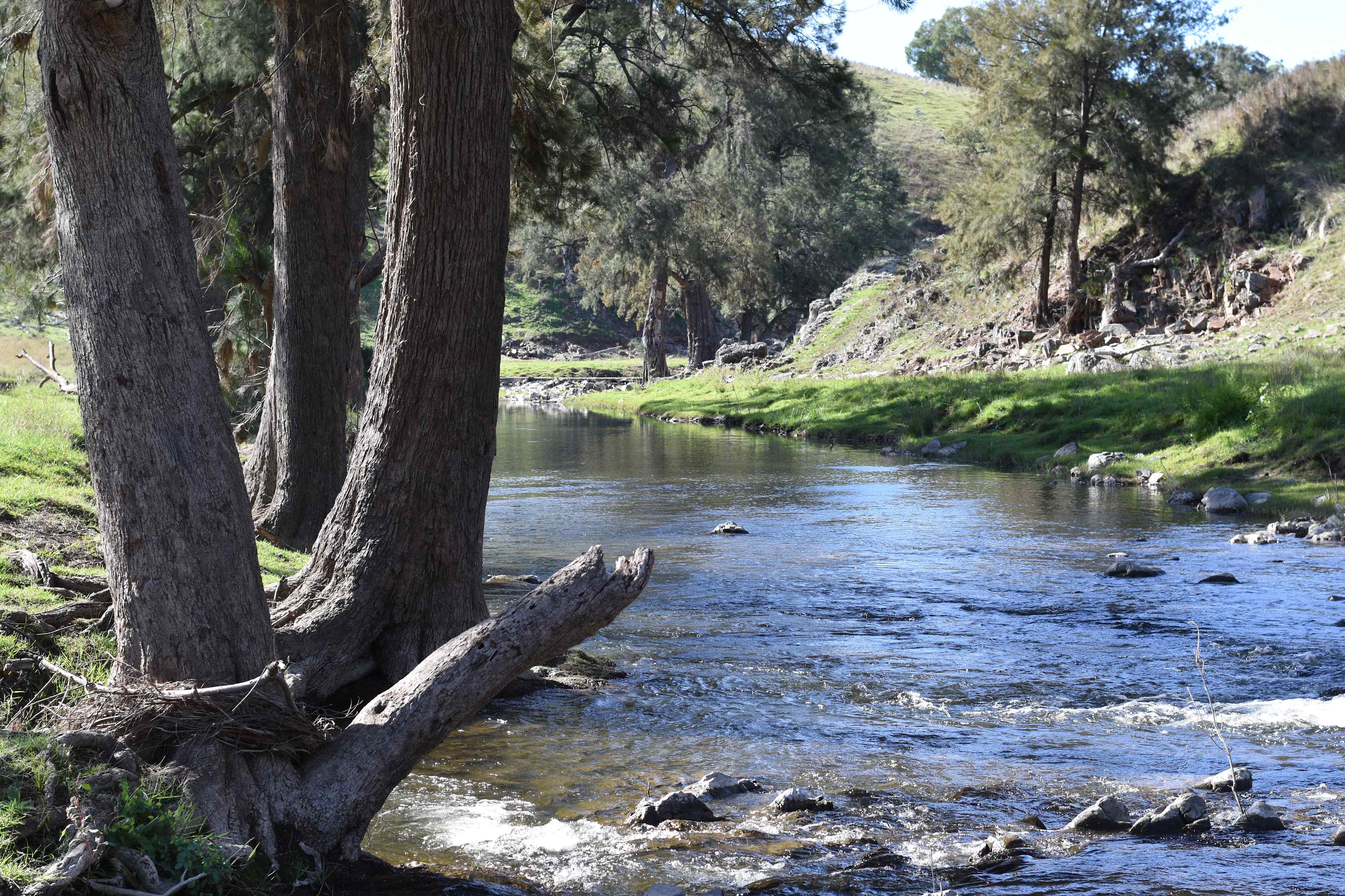 Bellandre Park