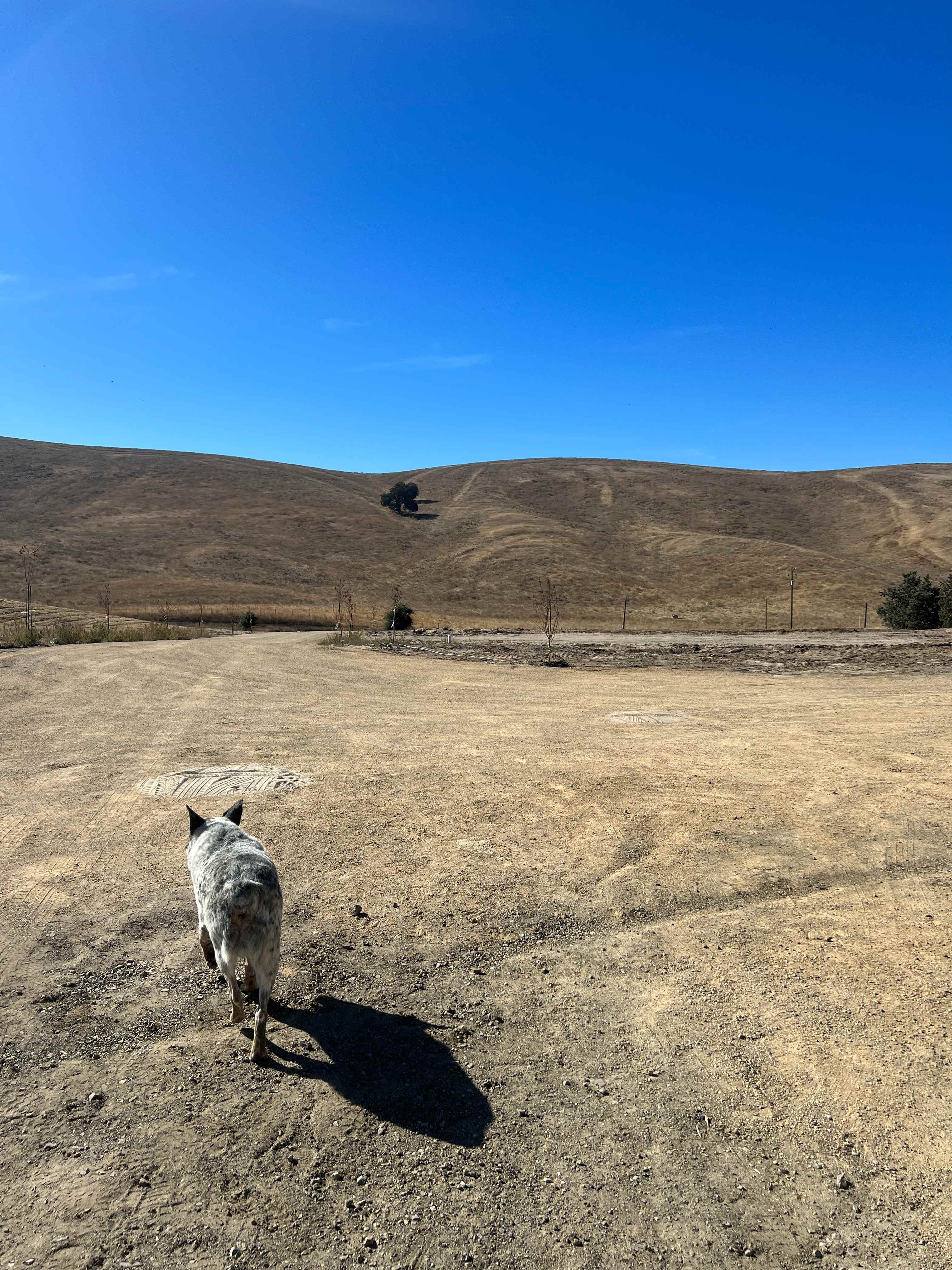 Skelton Family Ranch