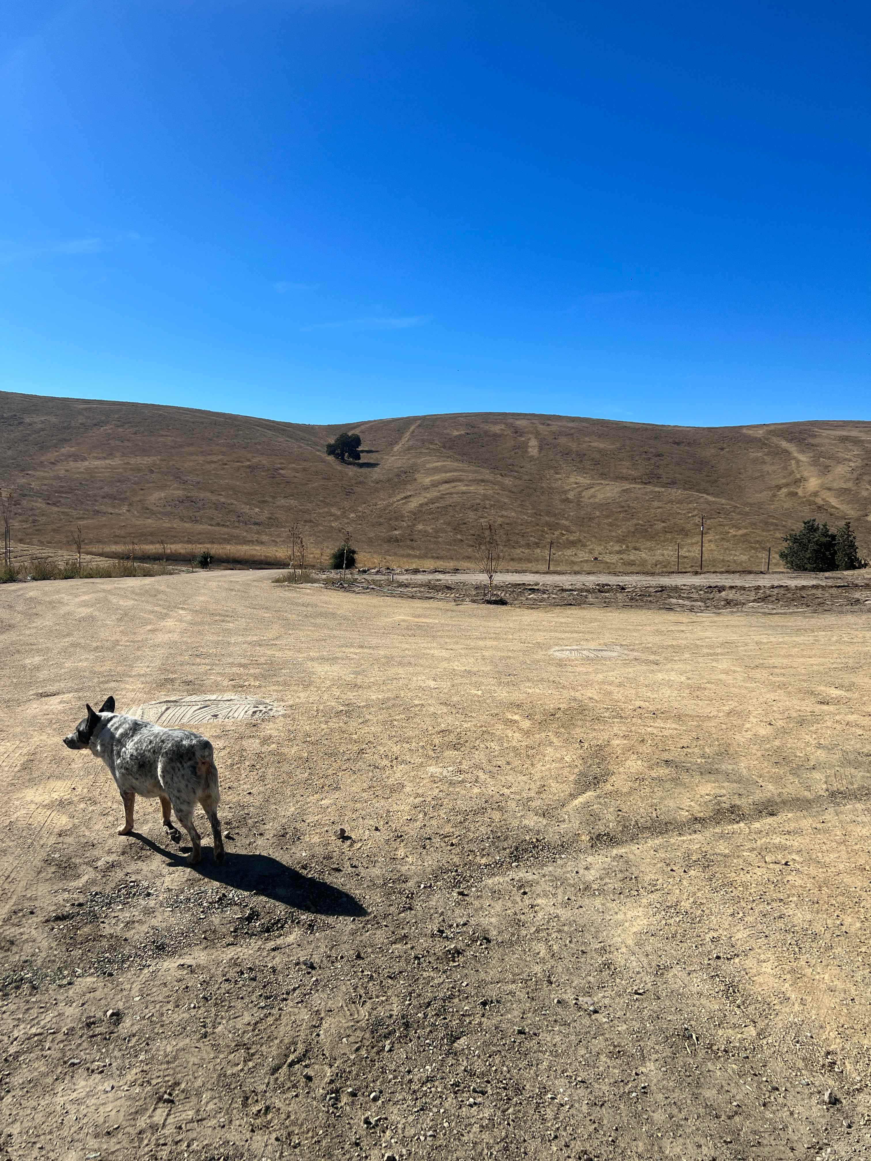 Skelton Family Ranch