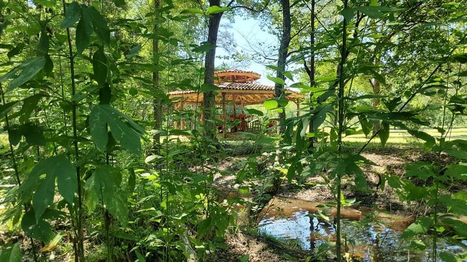 A Little Piece of Paradise