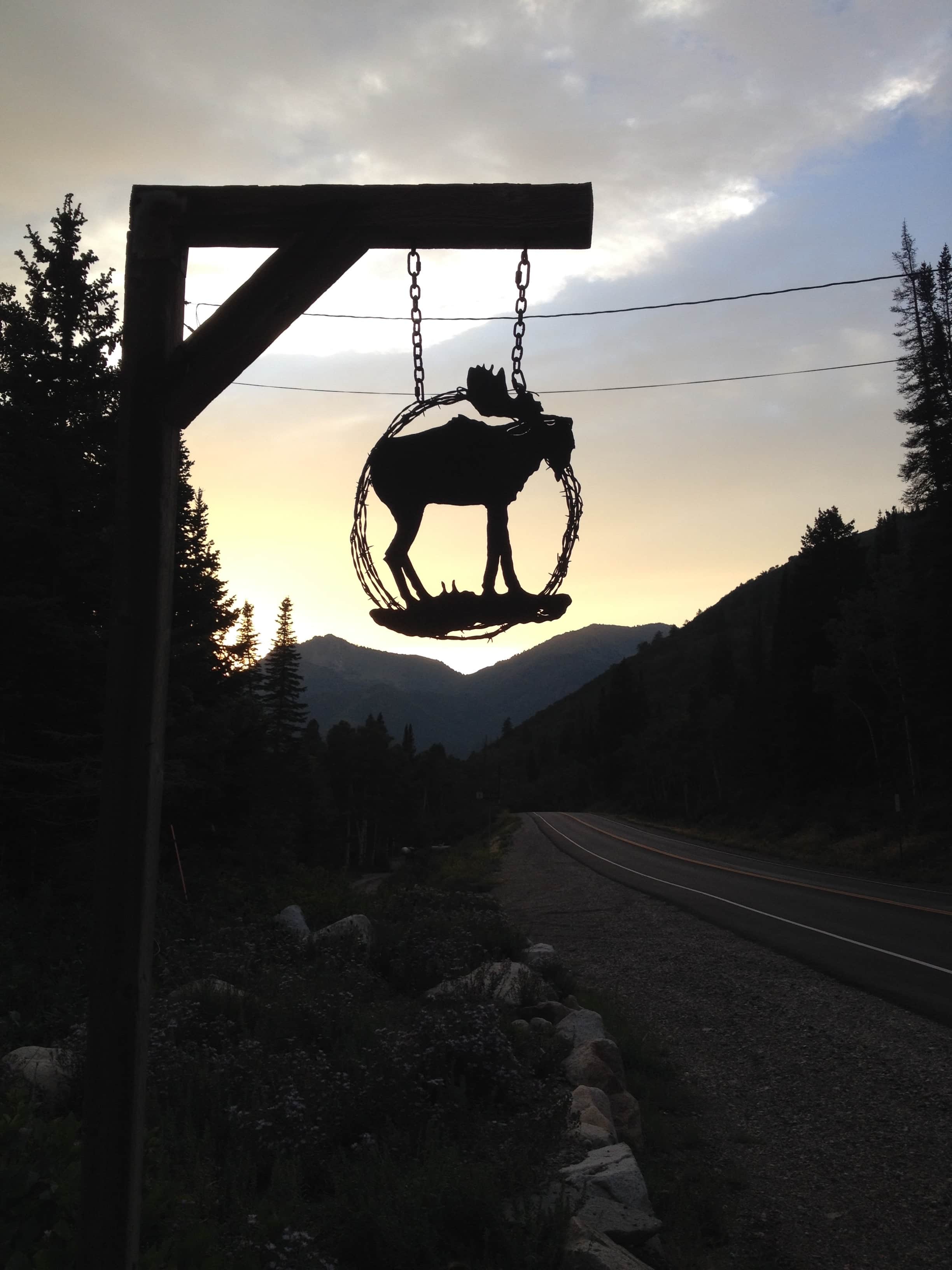 Moose Meadow