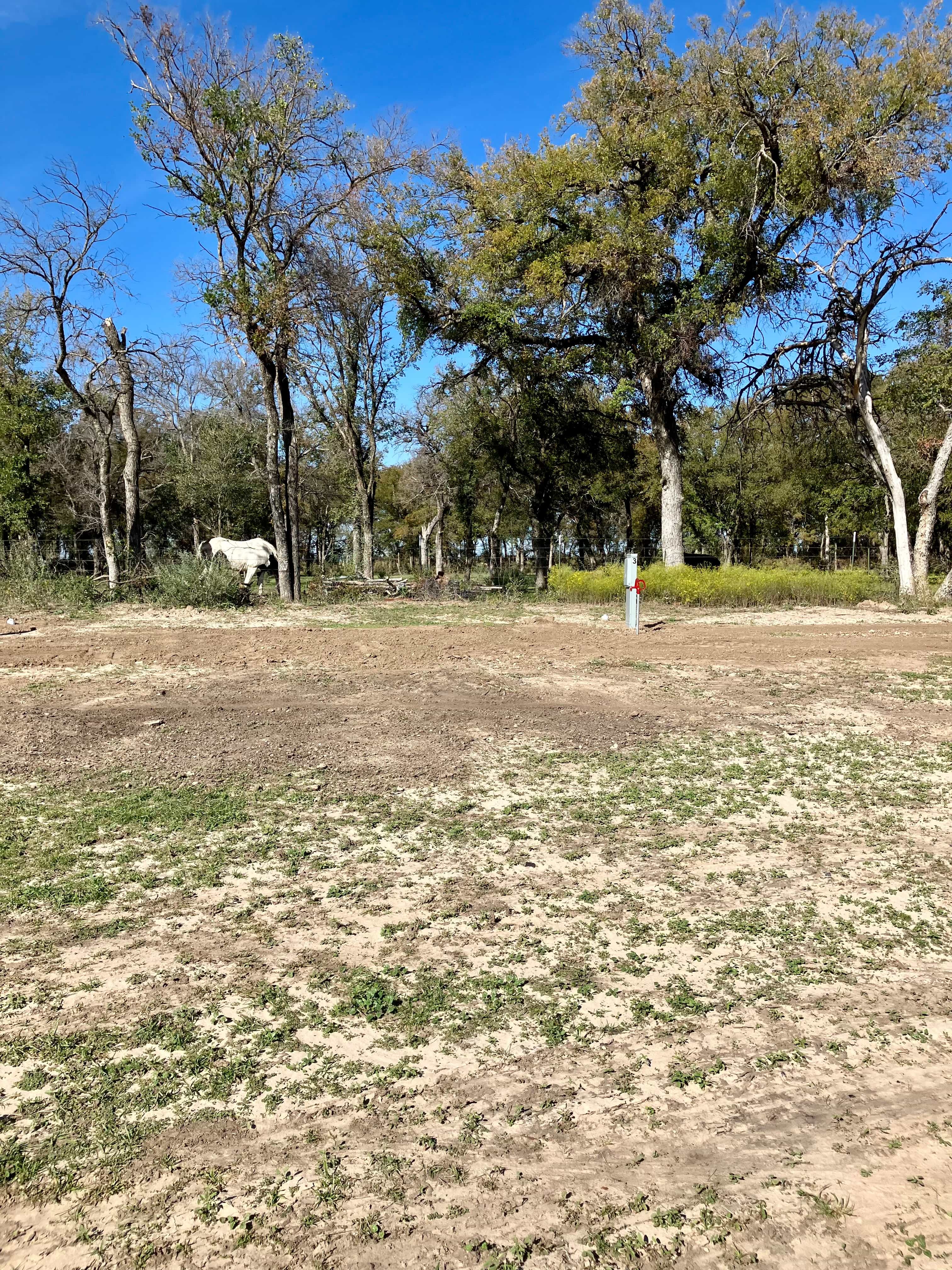 RV Site 3