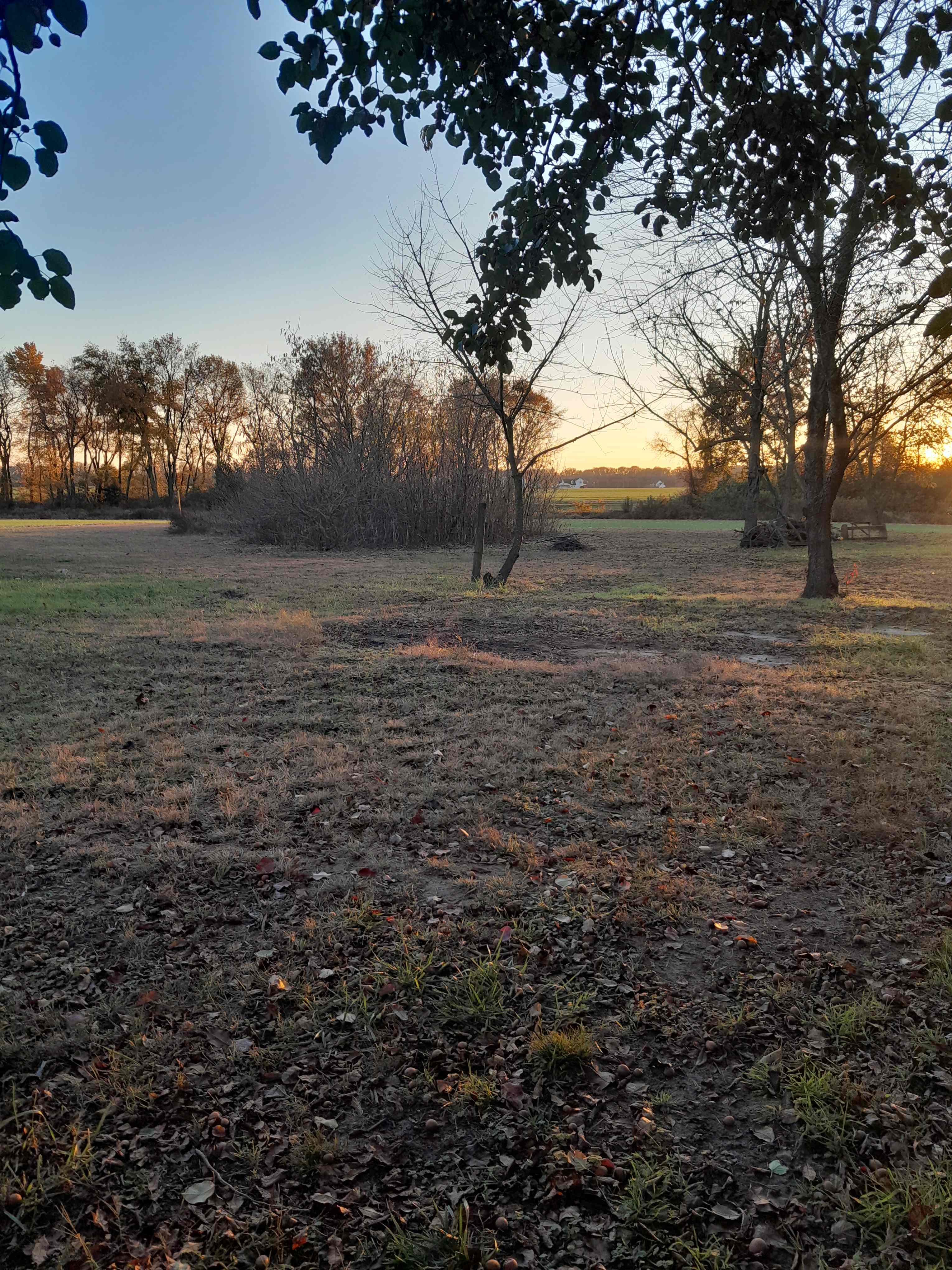 View from campsite