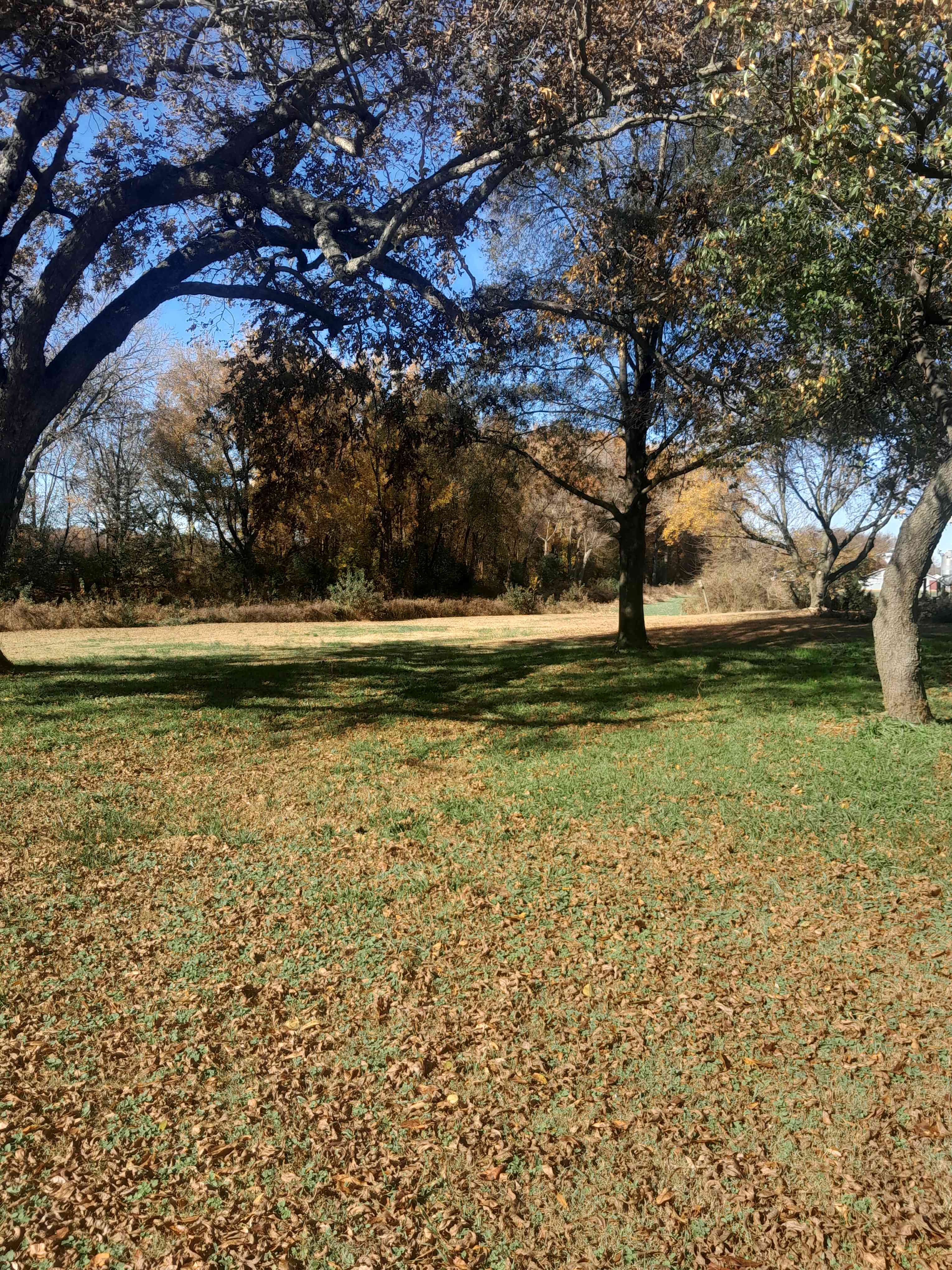 Dale's Campground