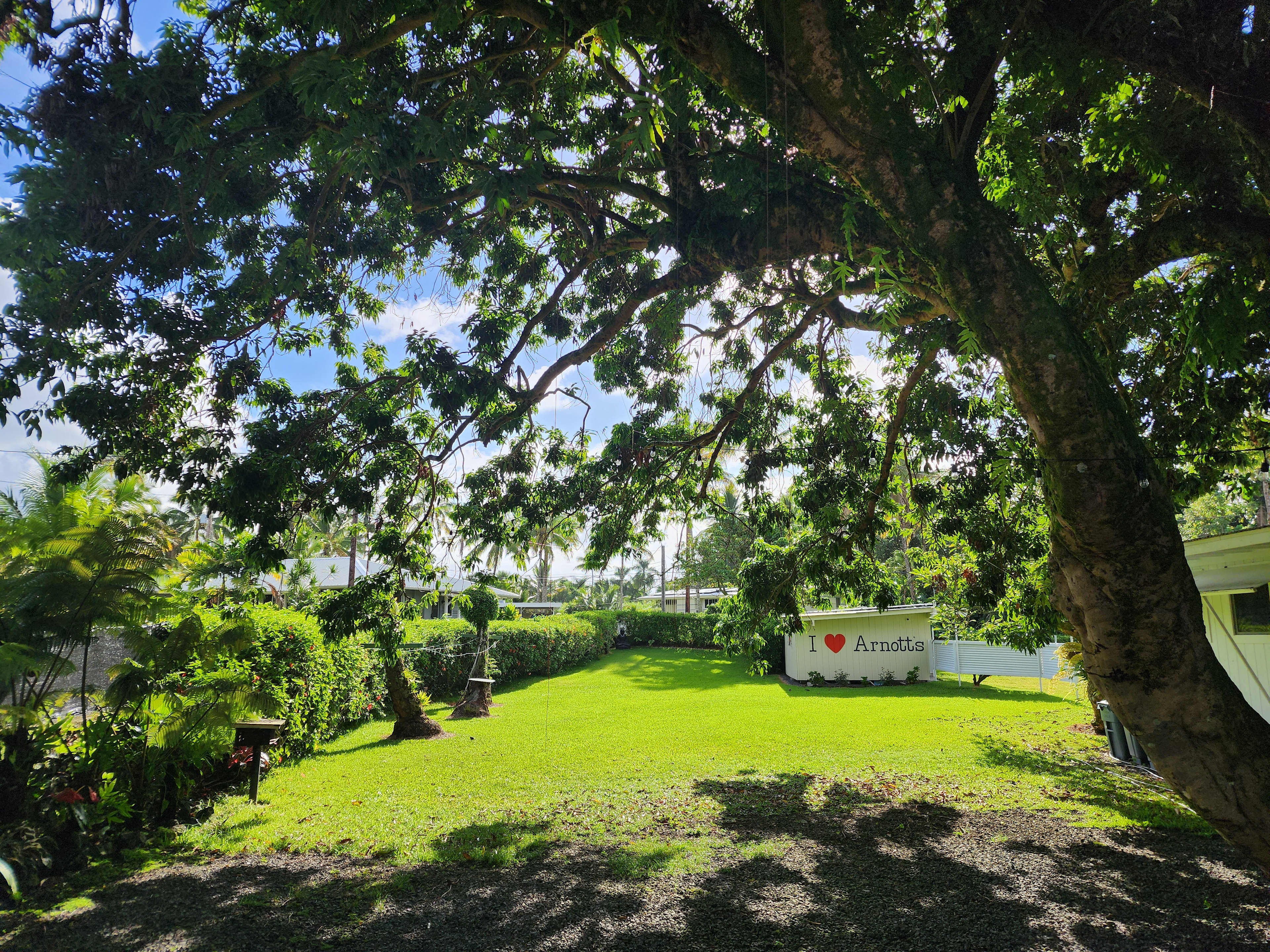 The camping lawn