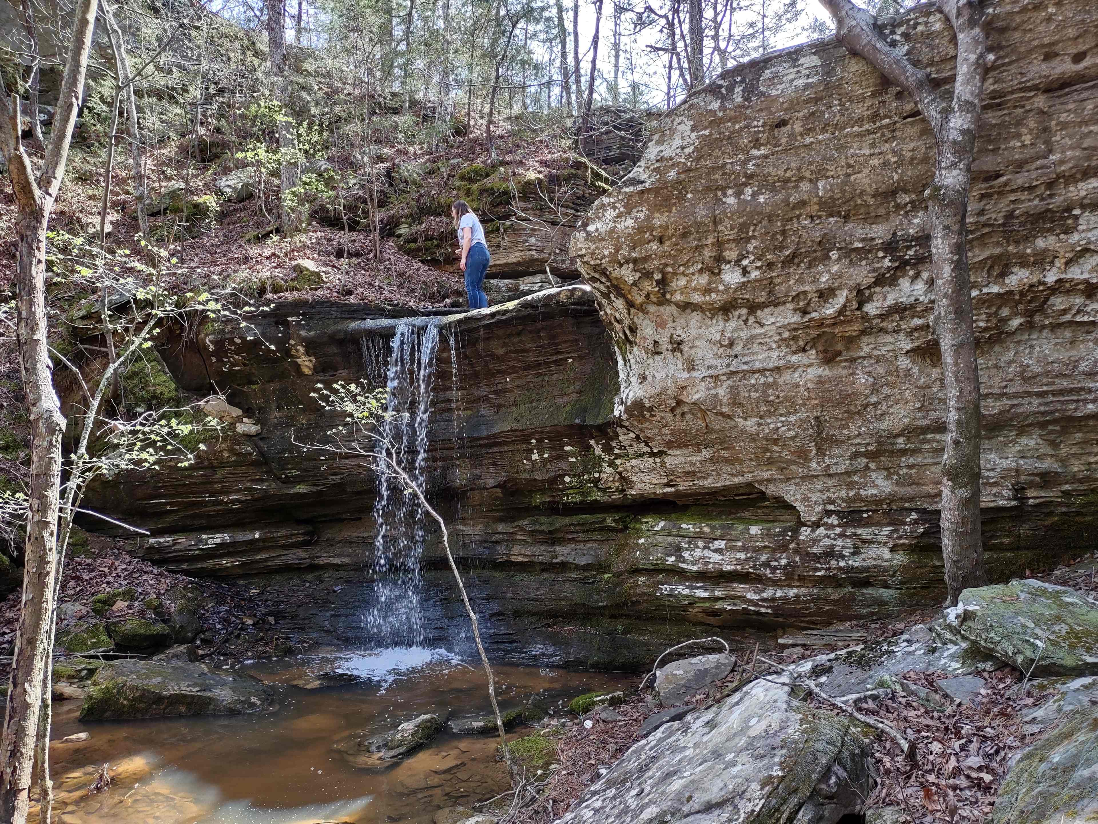 Spring Holler Farm