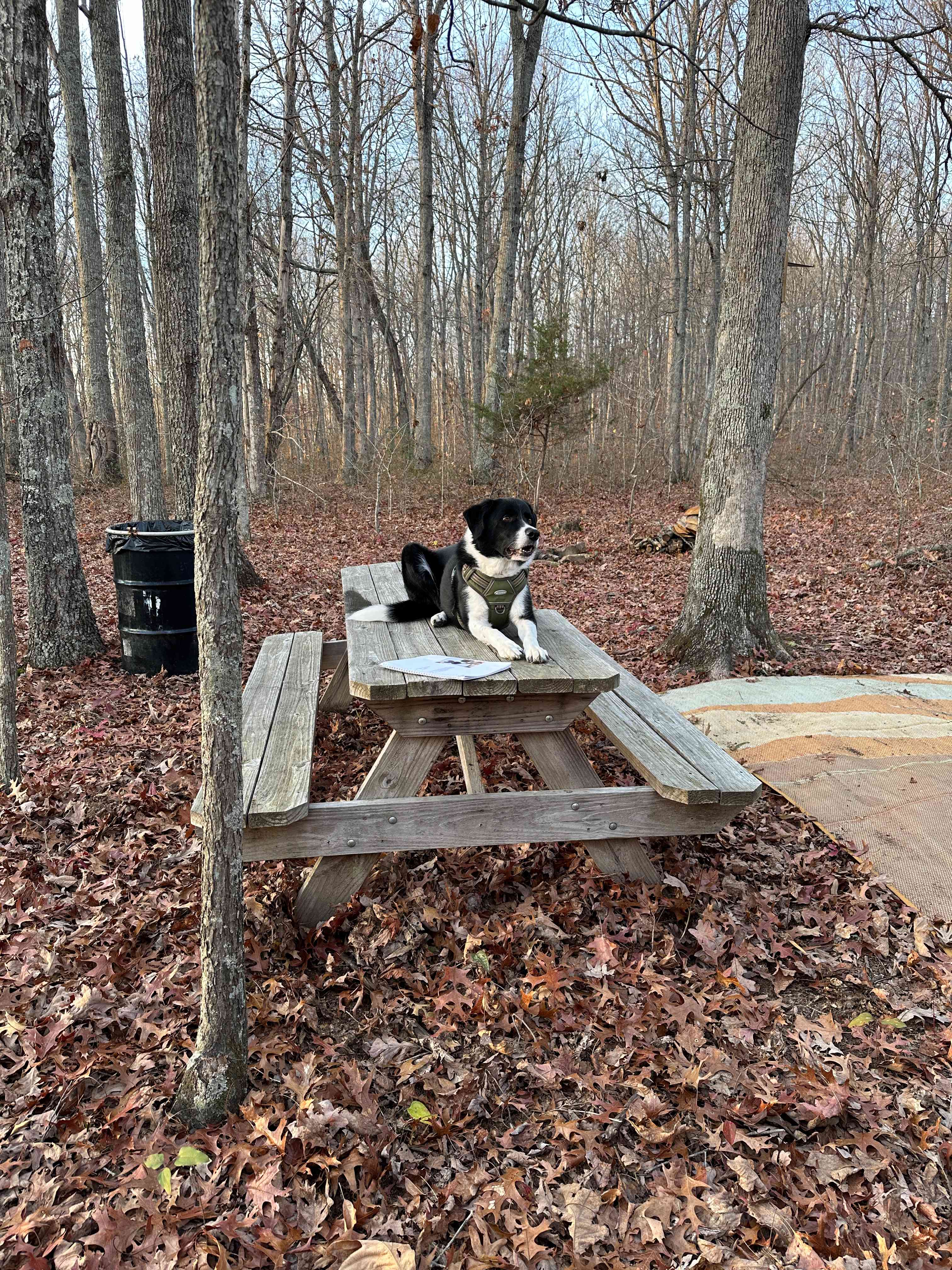 Supervising Setup