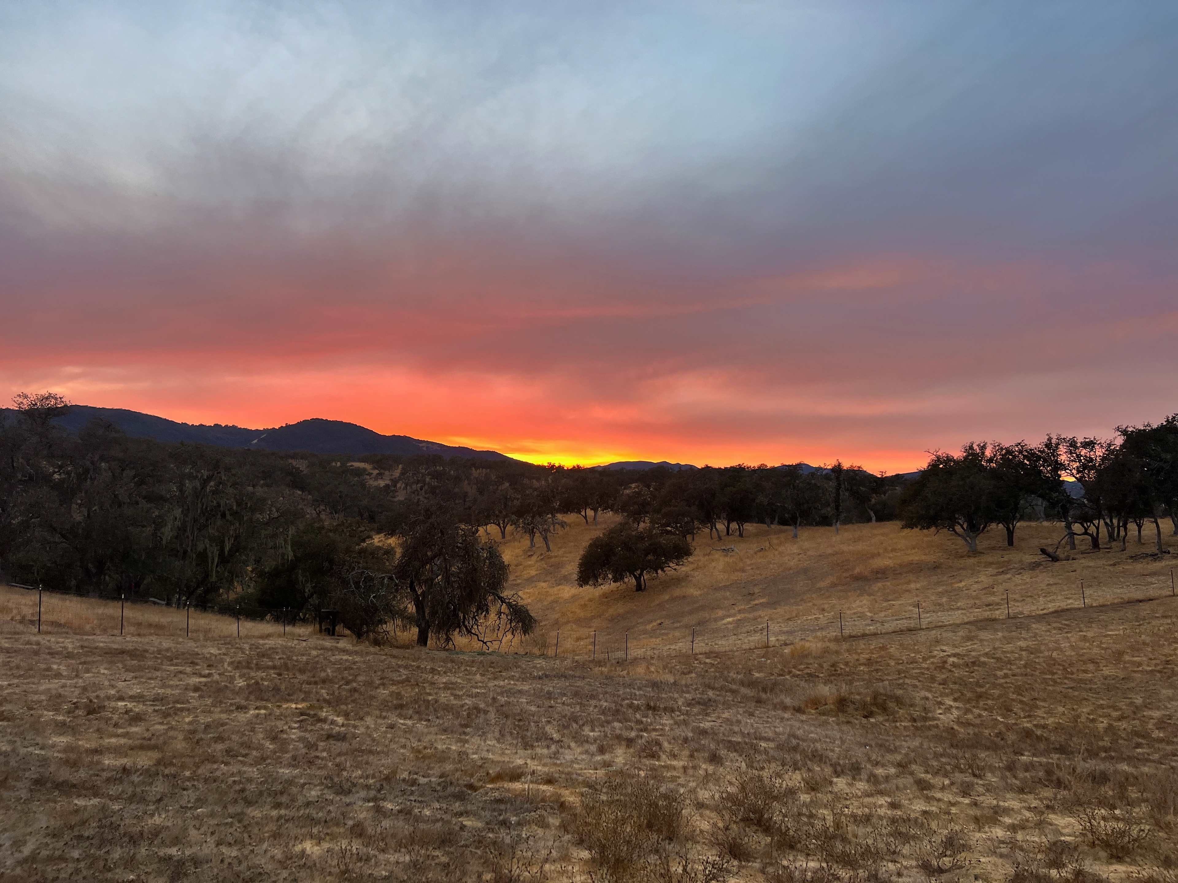 Two Heeler Ranch