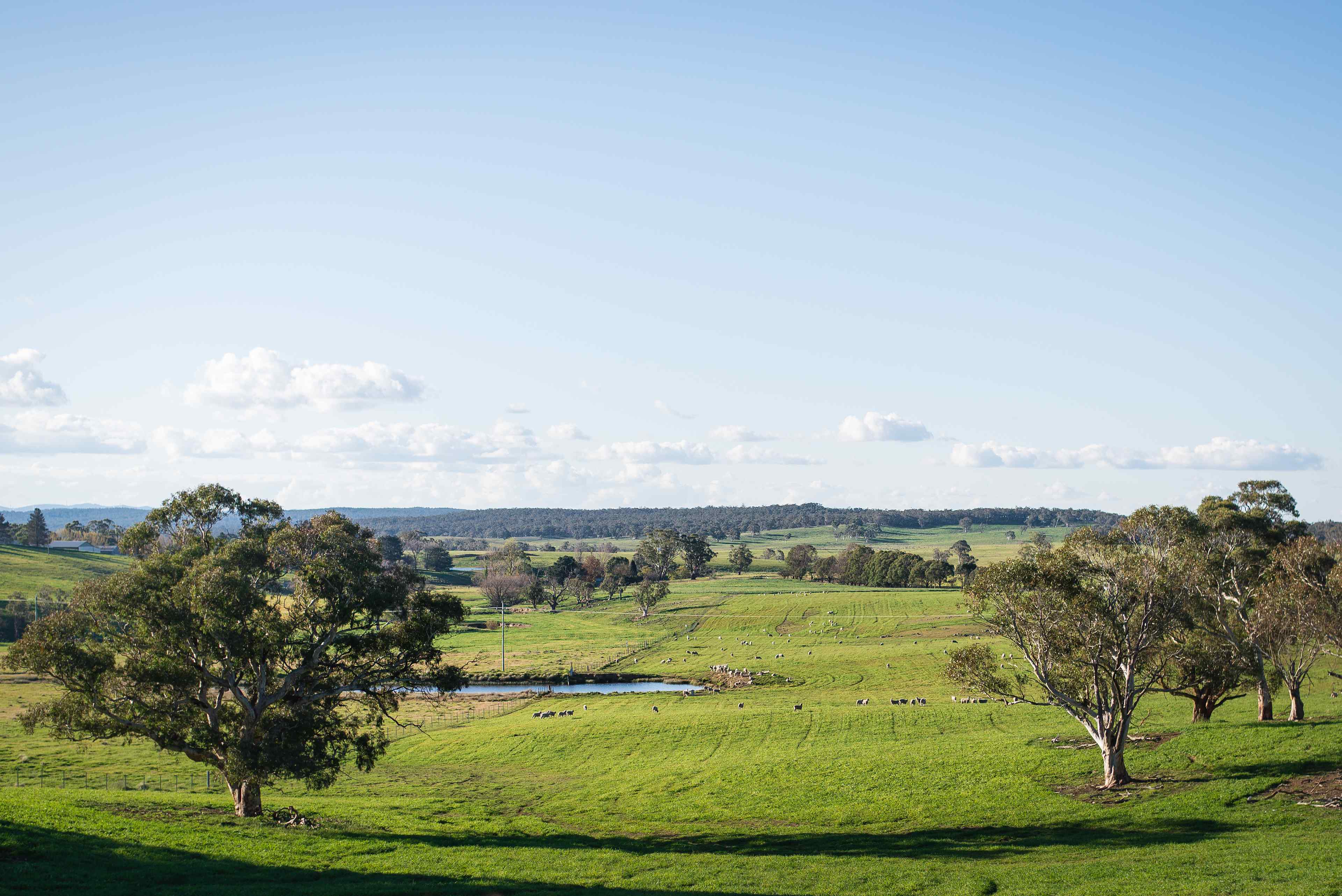 Butmaroo in Spring 