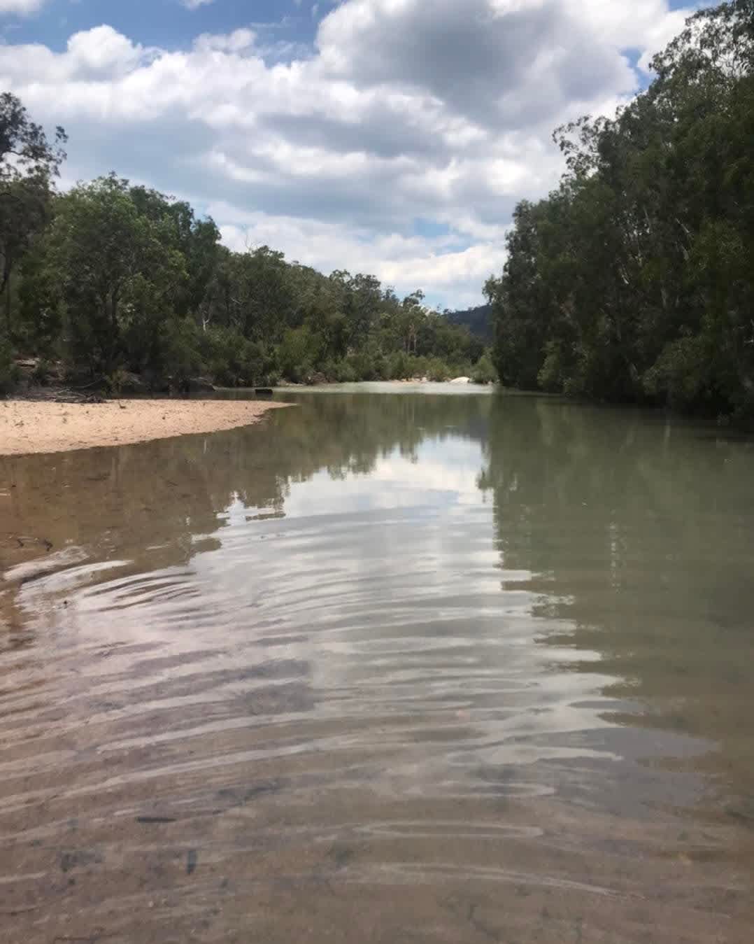 Pine creek - where we pump our water from 
