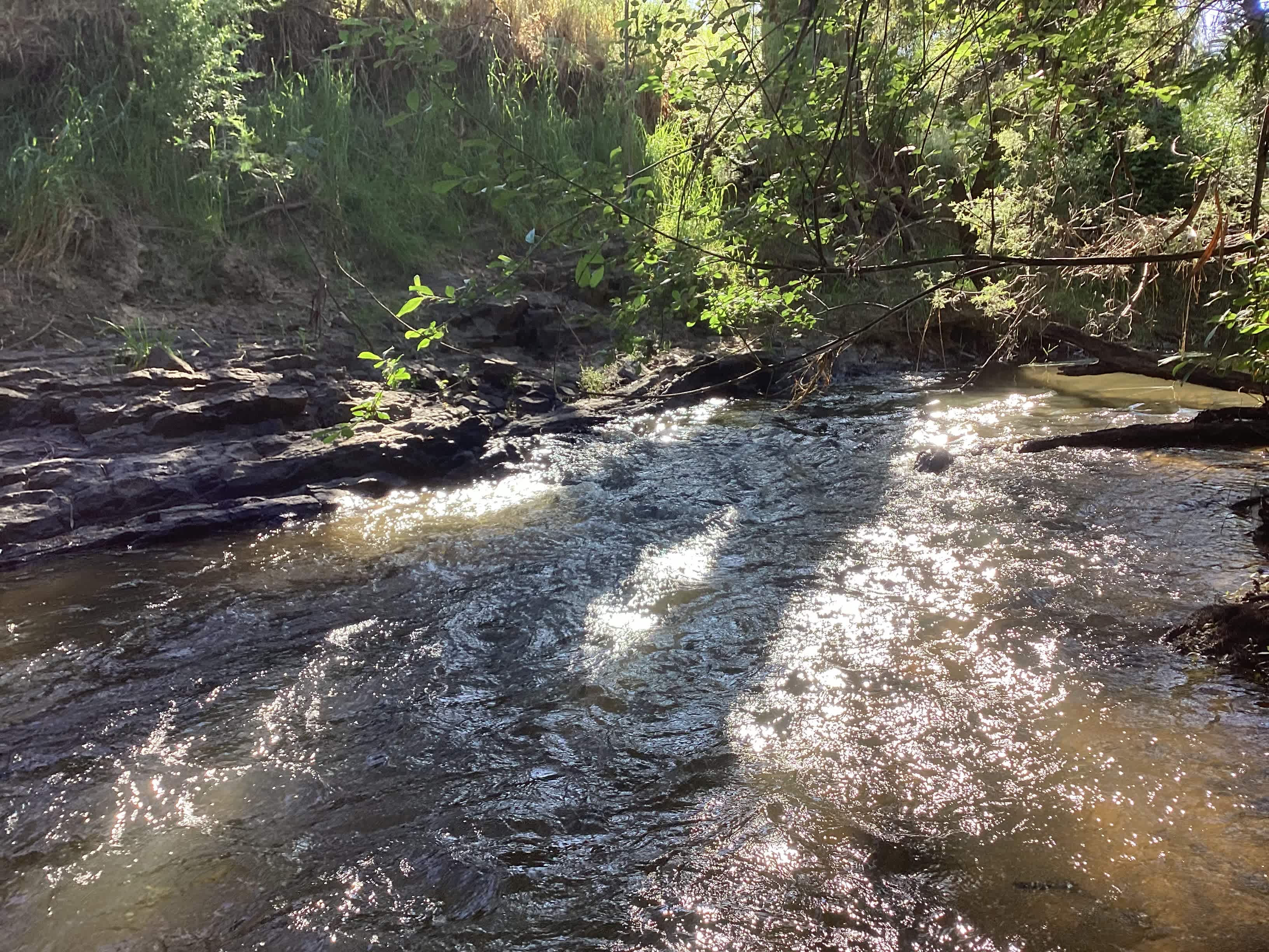 The beautiful King Parrot Creek