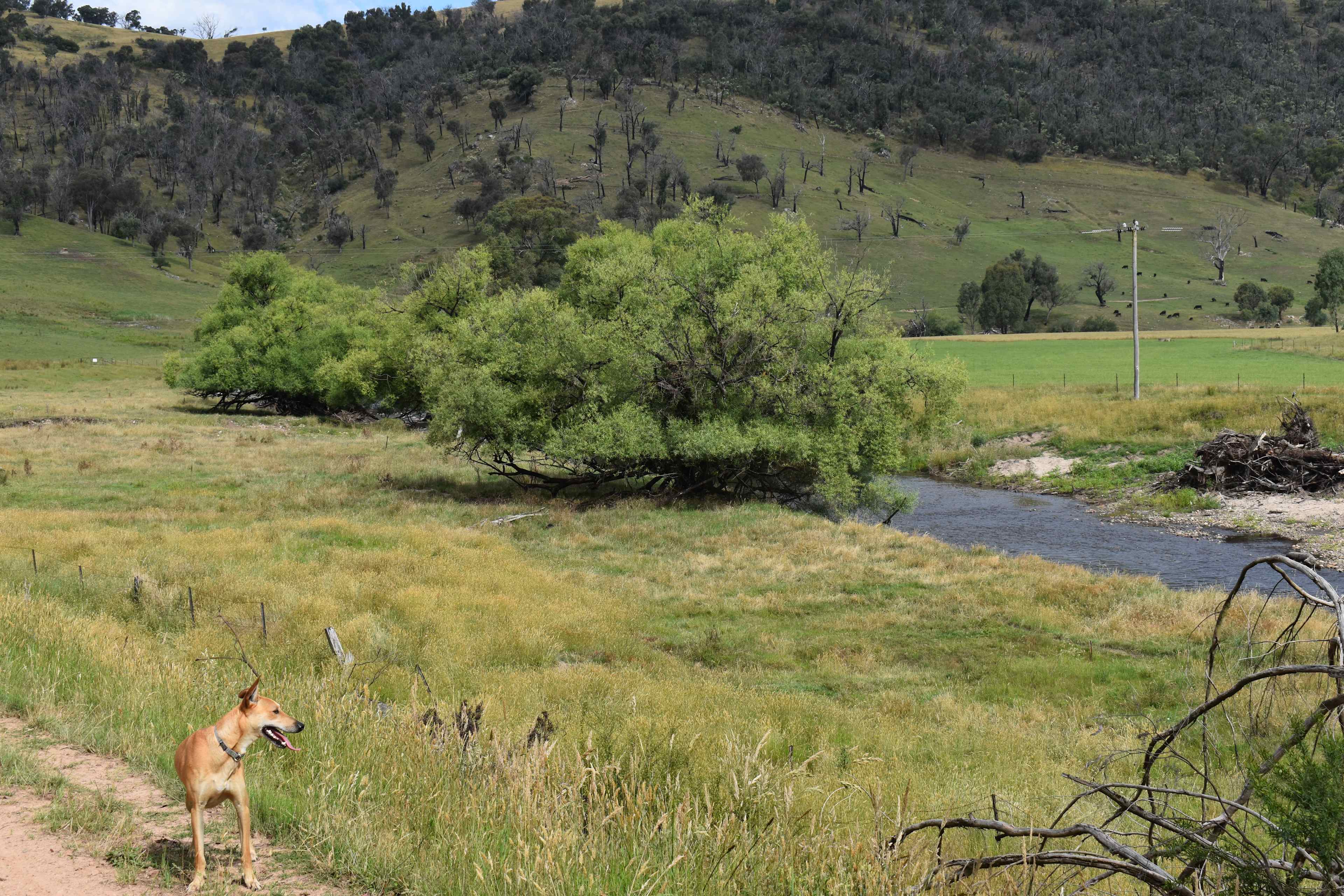 Samsons Gully