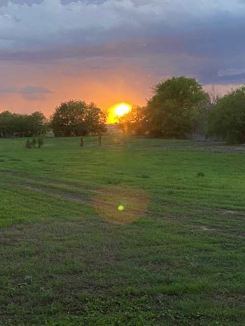 Rocking S&M Ranch
