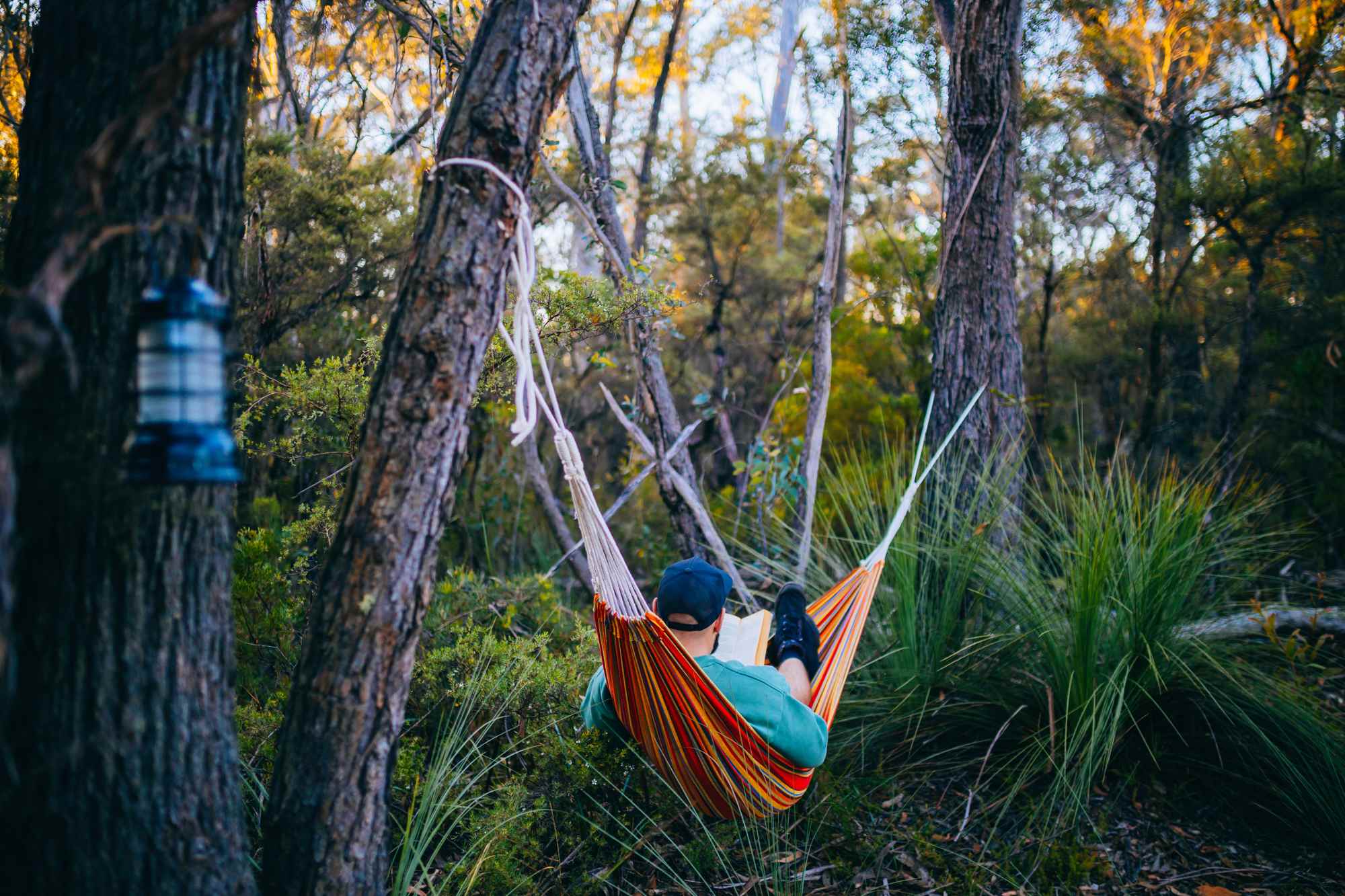 Camp Medlow