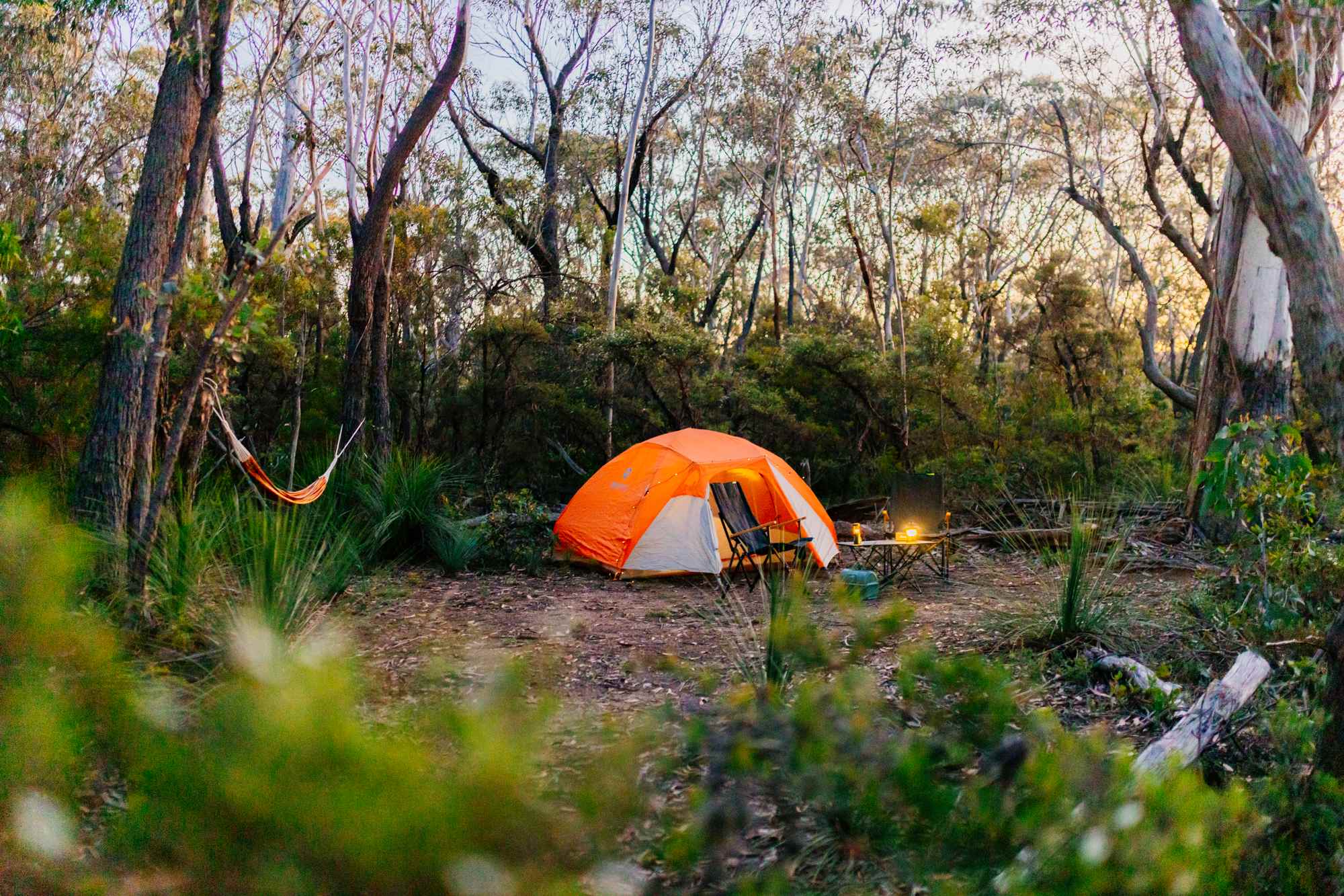 Camp Medlow