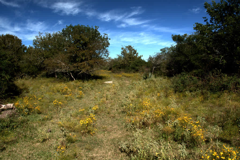 Brazoria National Wildlife Refuge