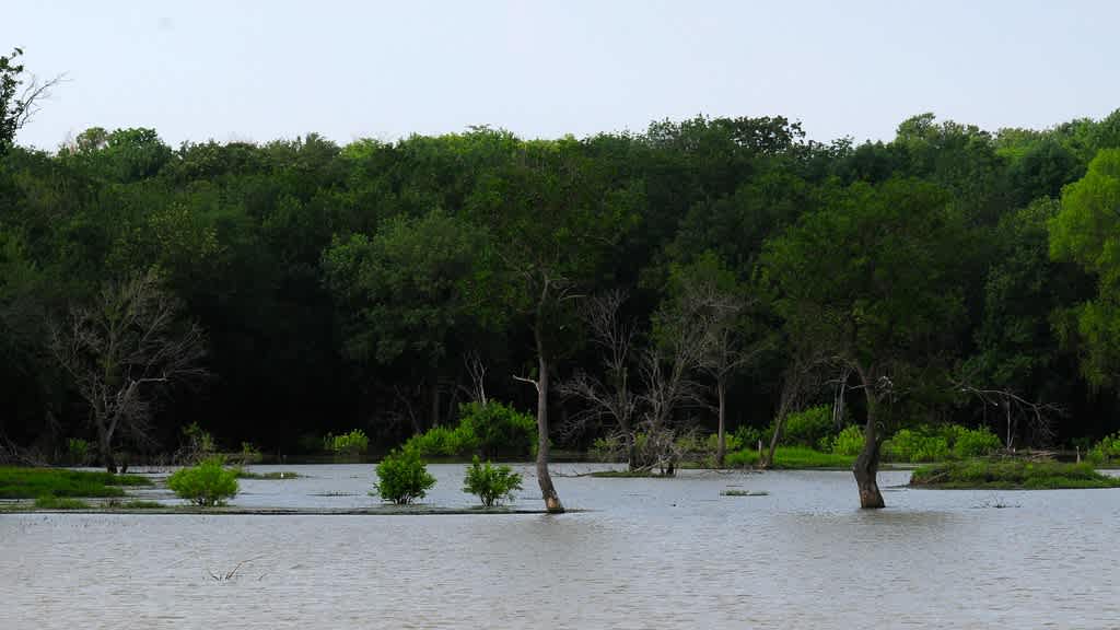Hagerman National Wildlife Refuge