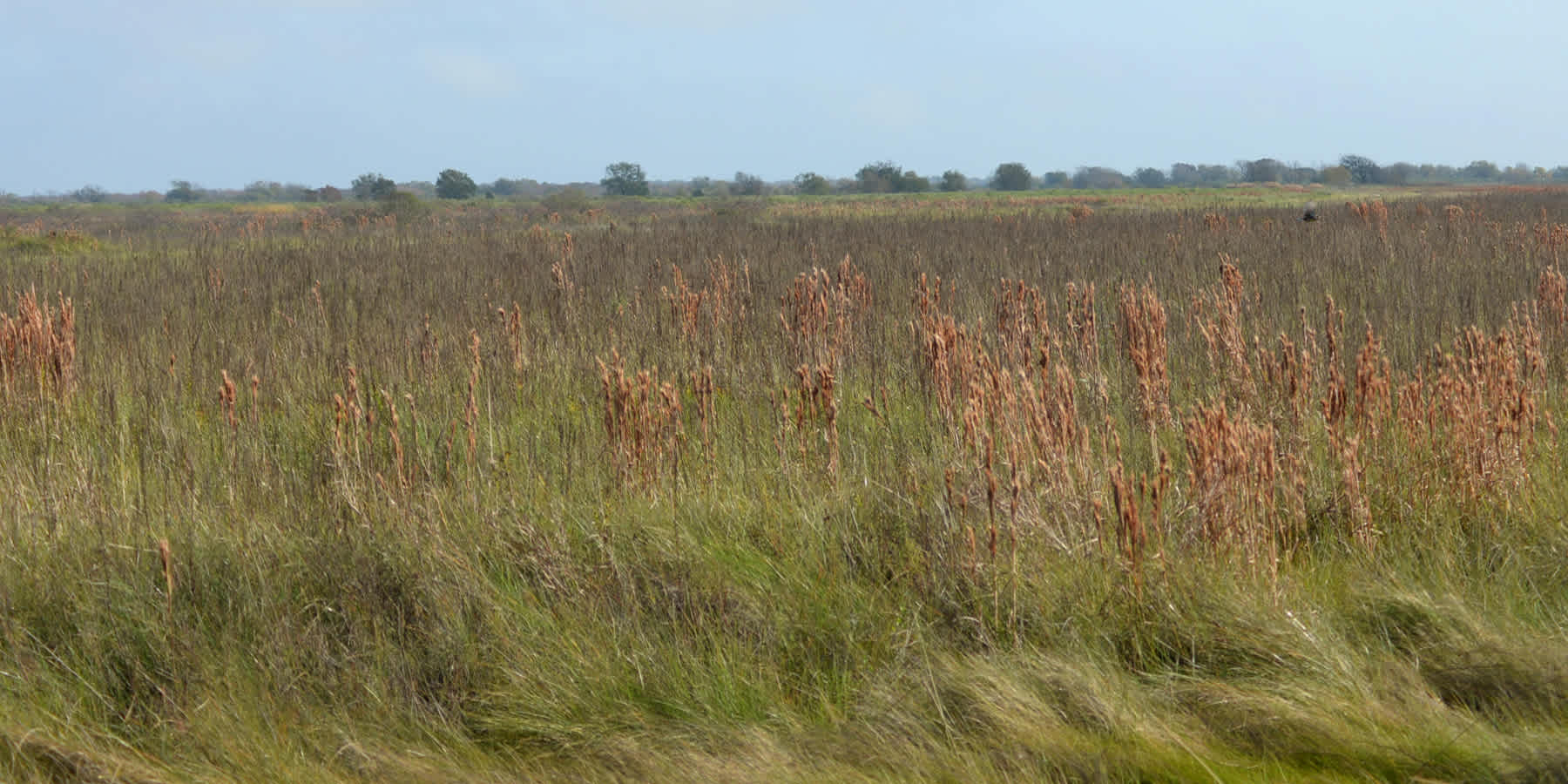 San Bernard National Wildlife Refuge