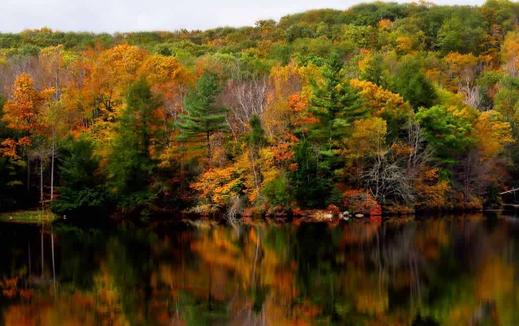 Dunn State Park