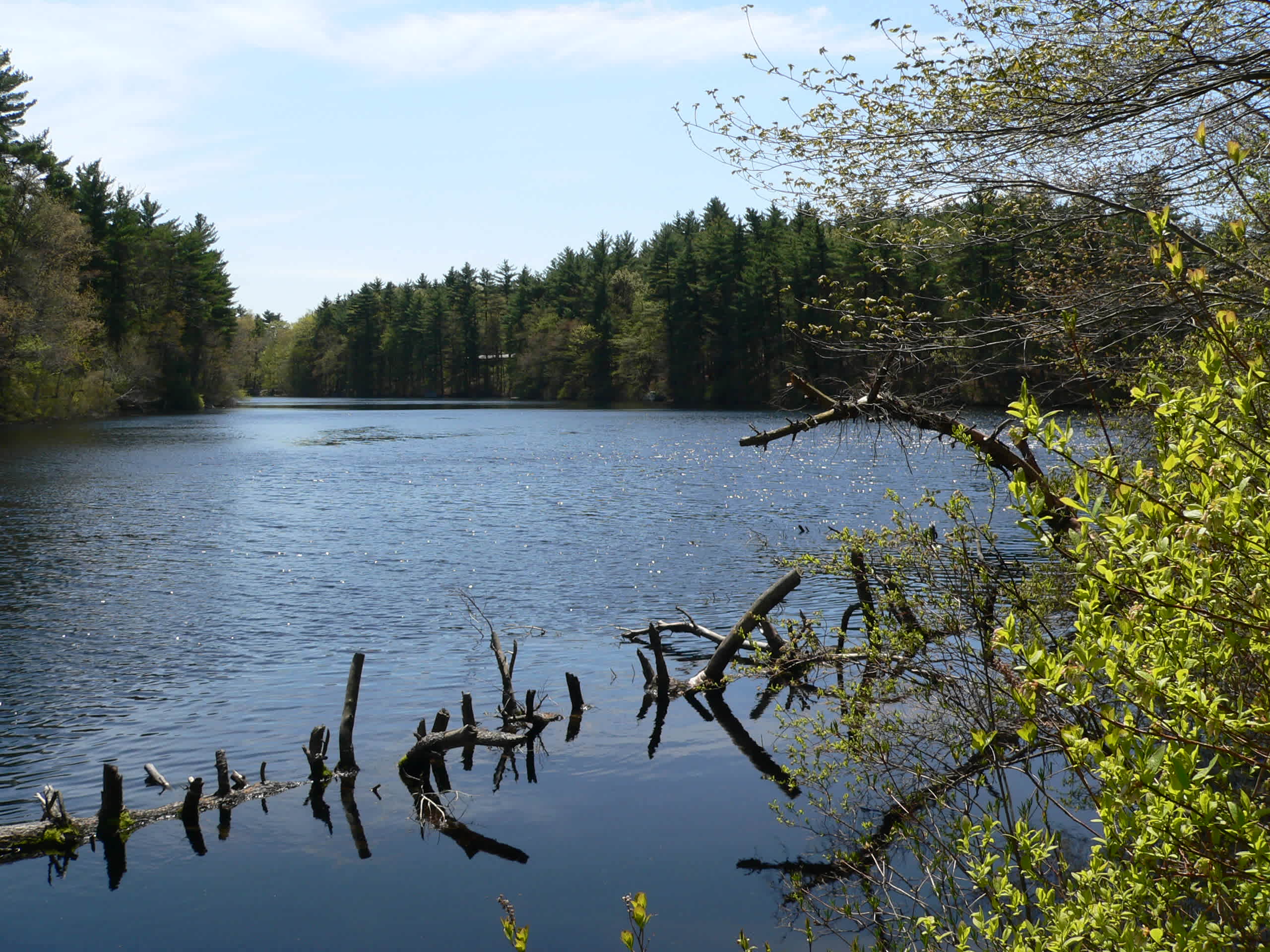 F. Gilbert Hills State Forest